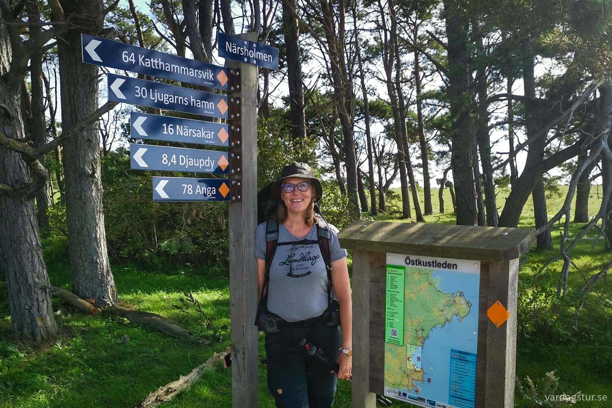 wp-1708538709583706488437811349790