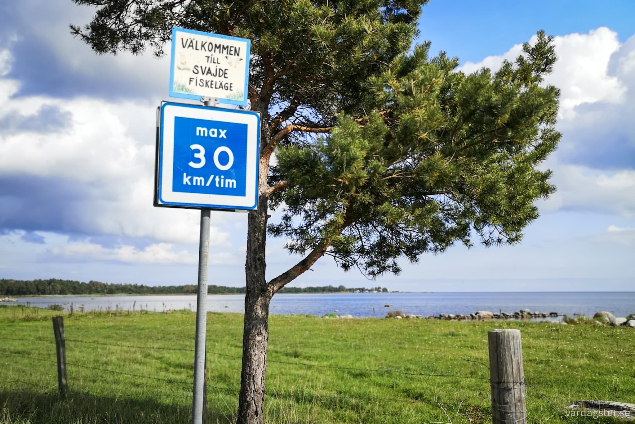 wp-17087598775832417537280207856968