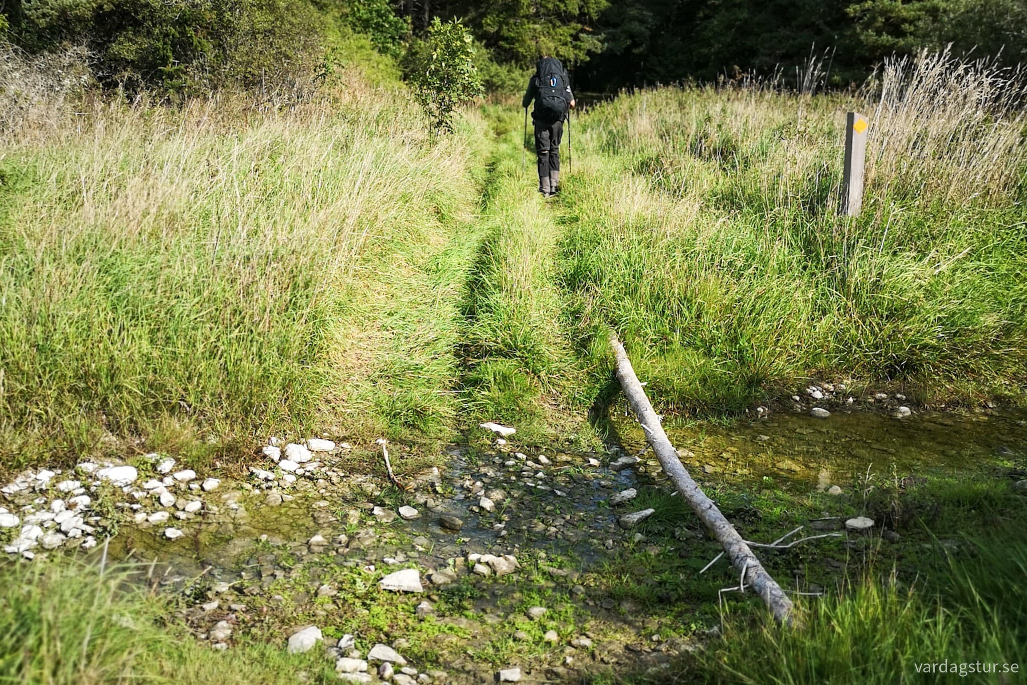 wp-17087598777816046304556737907179