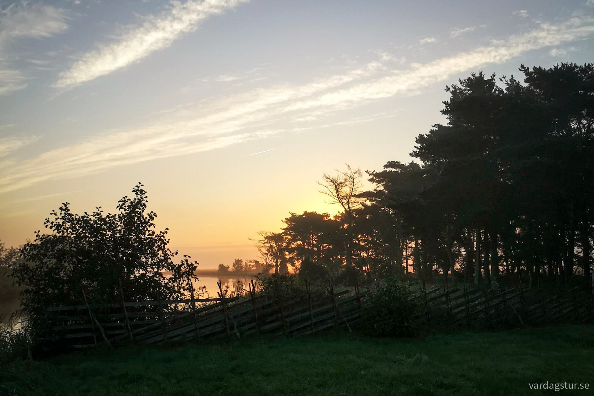 wp-1708759879144579873816079534672