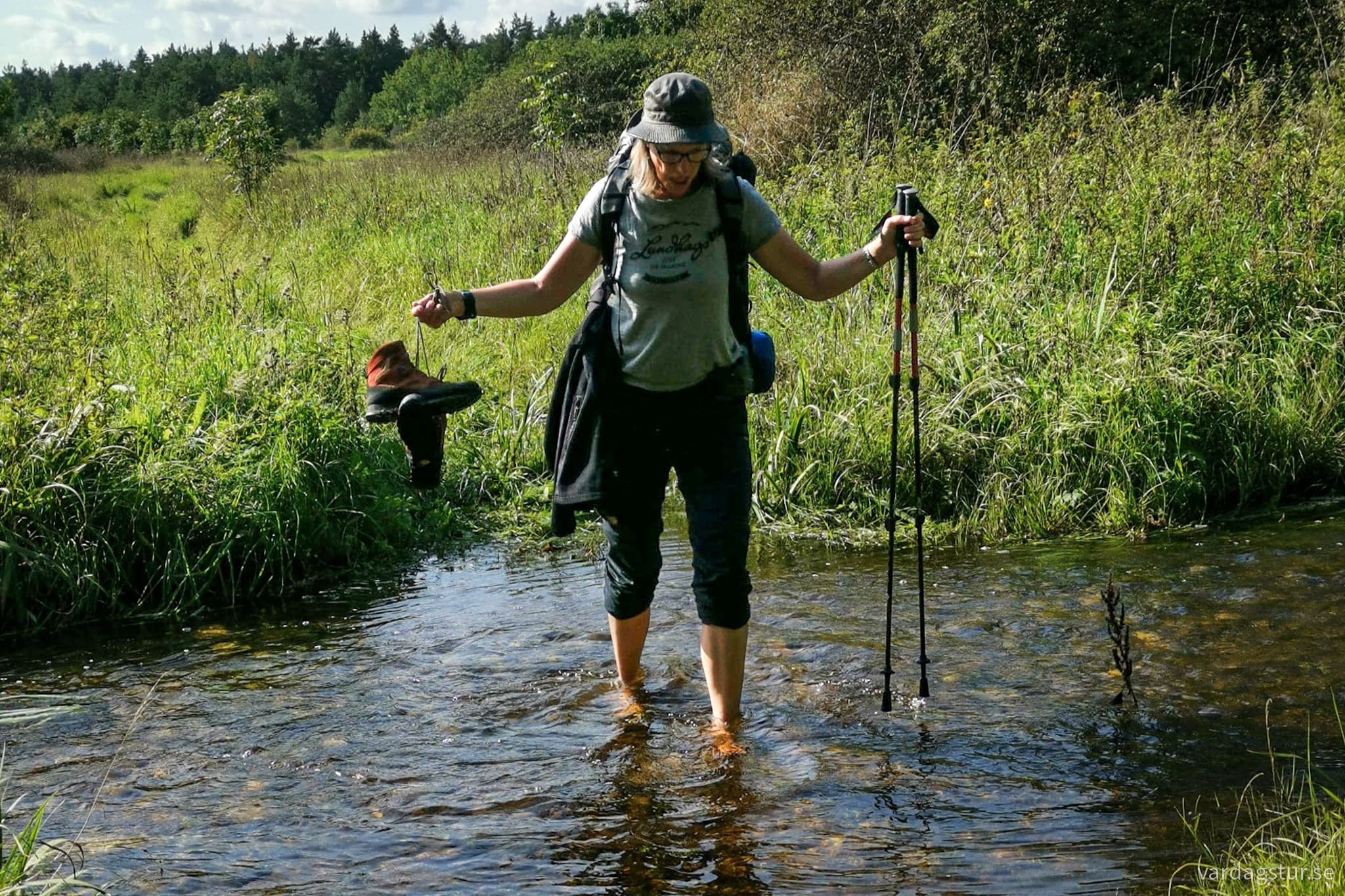 wp-17087598785924071728427622077111