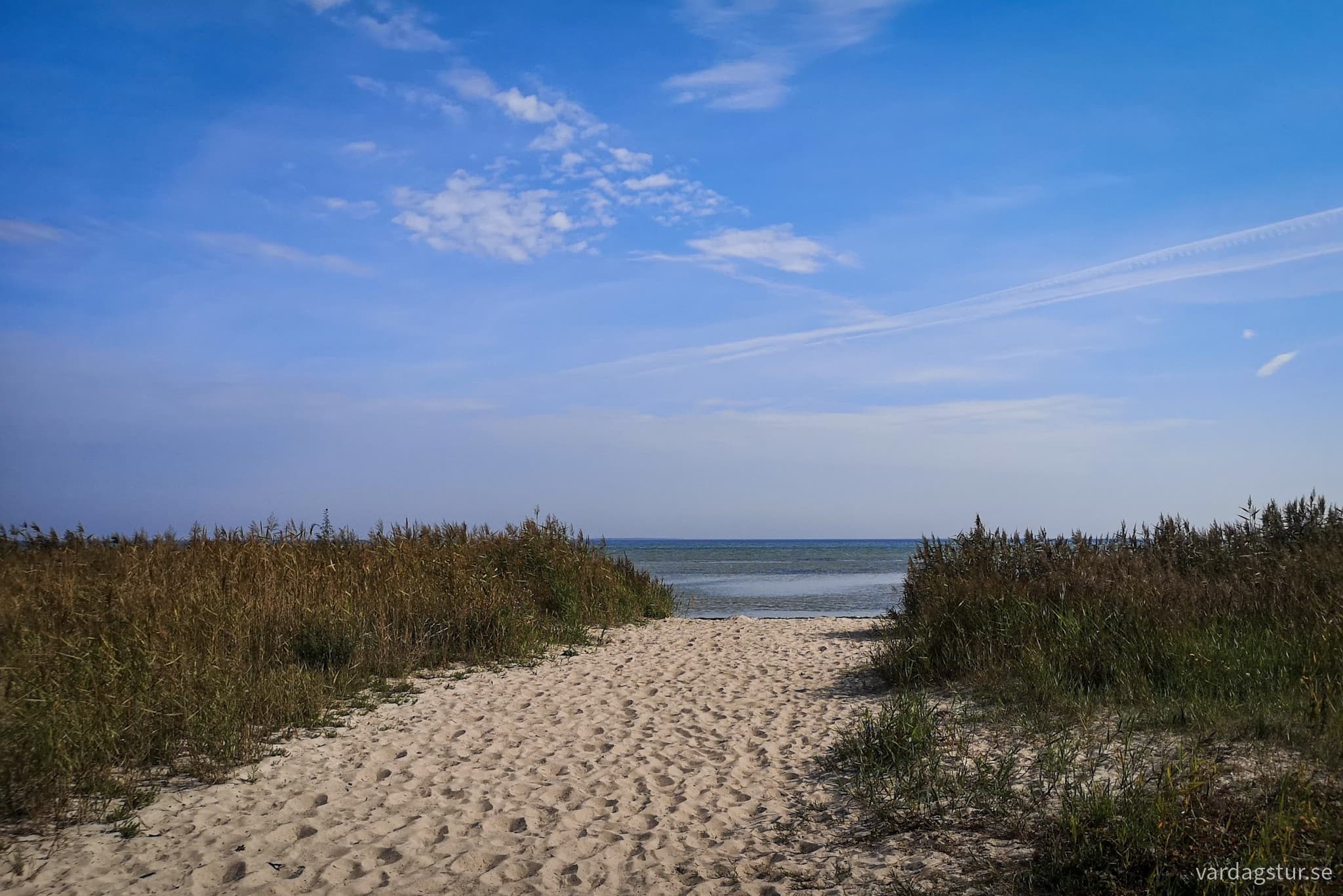 wp-17087631254167699434022089798189