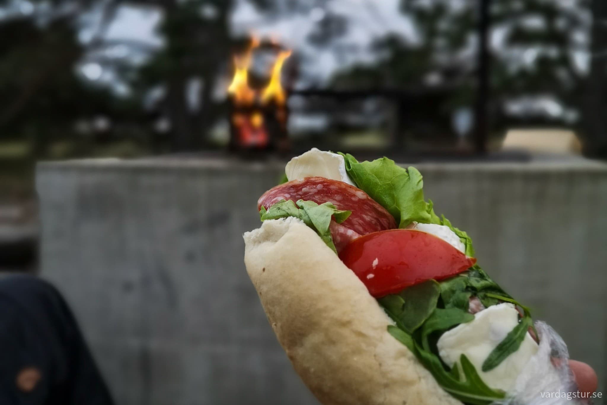 wp-17087654318102396673945035213715