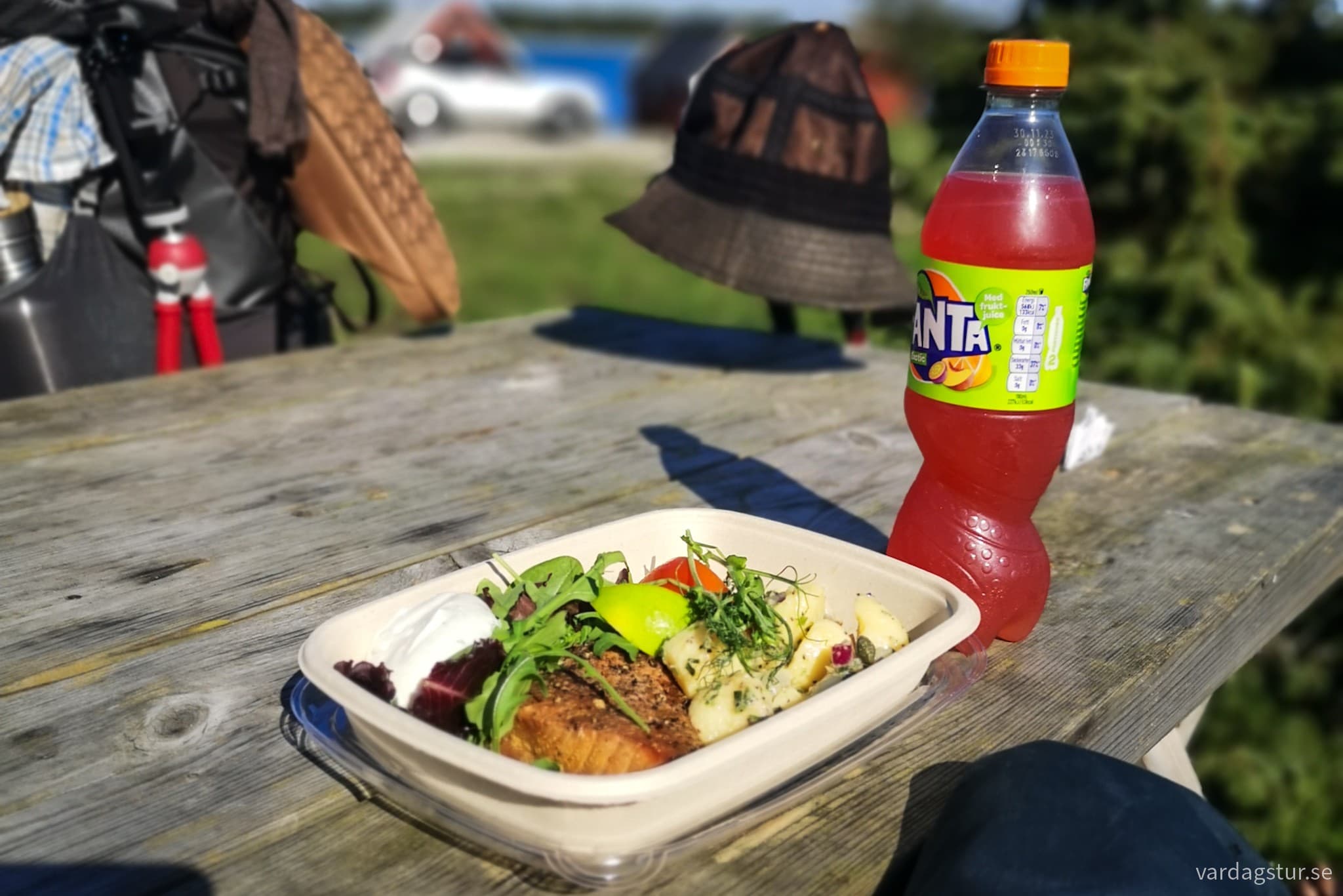 wp-17087728711321636698951744799304