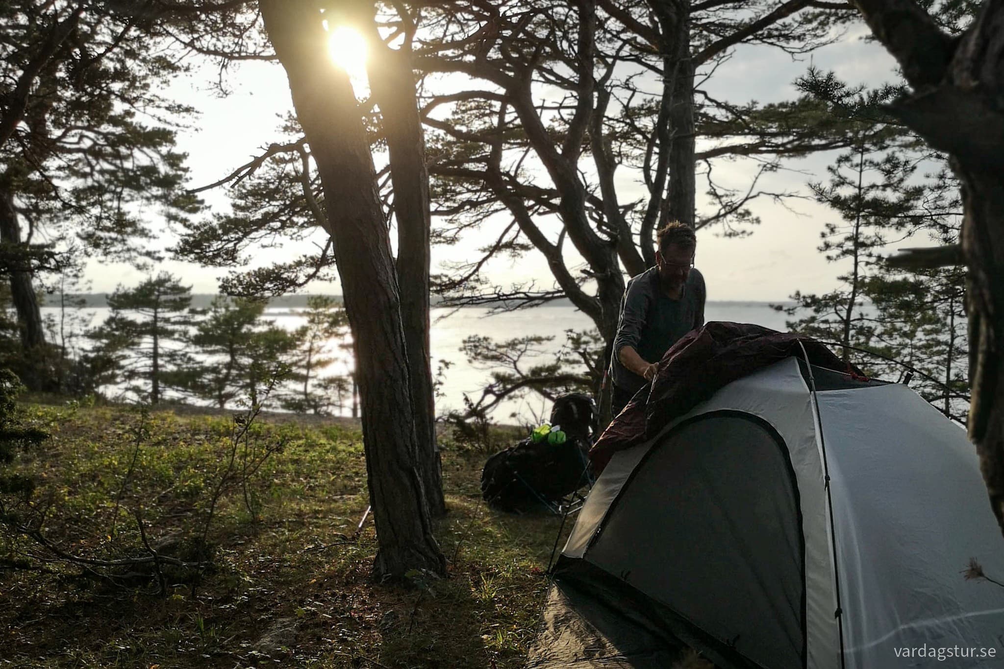 wp-17087728715011389605347752598193