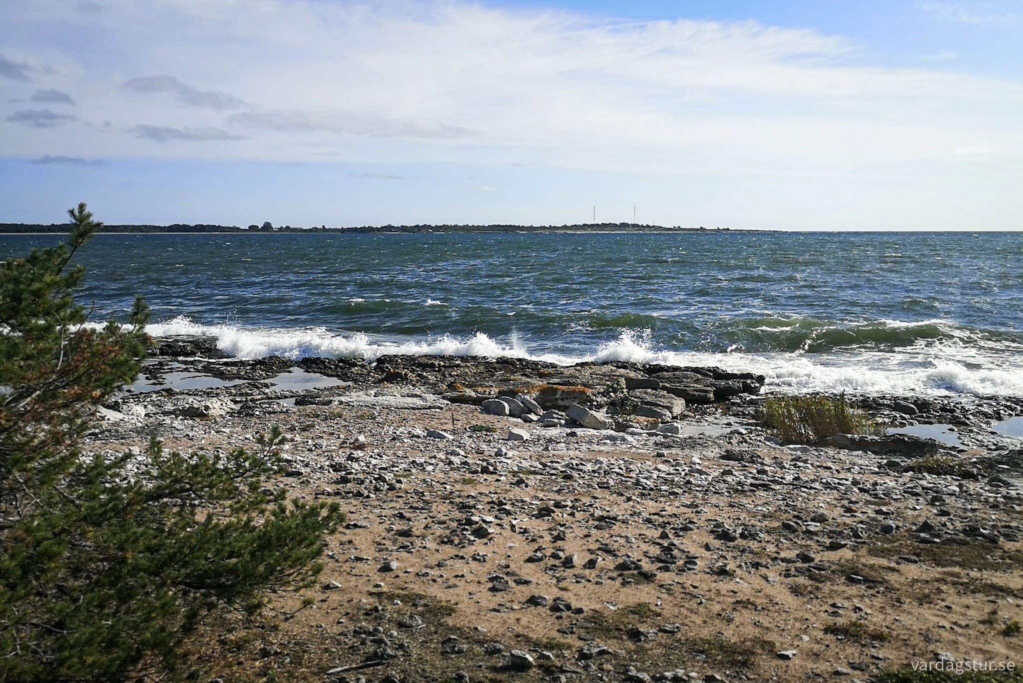 wp-1708772870954358516107754941569