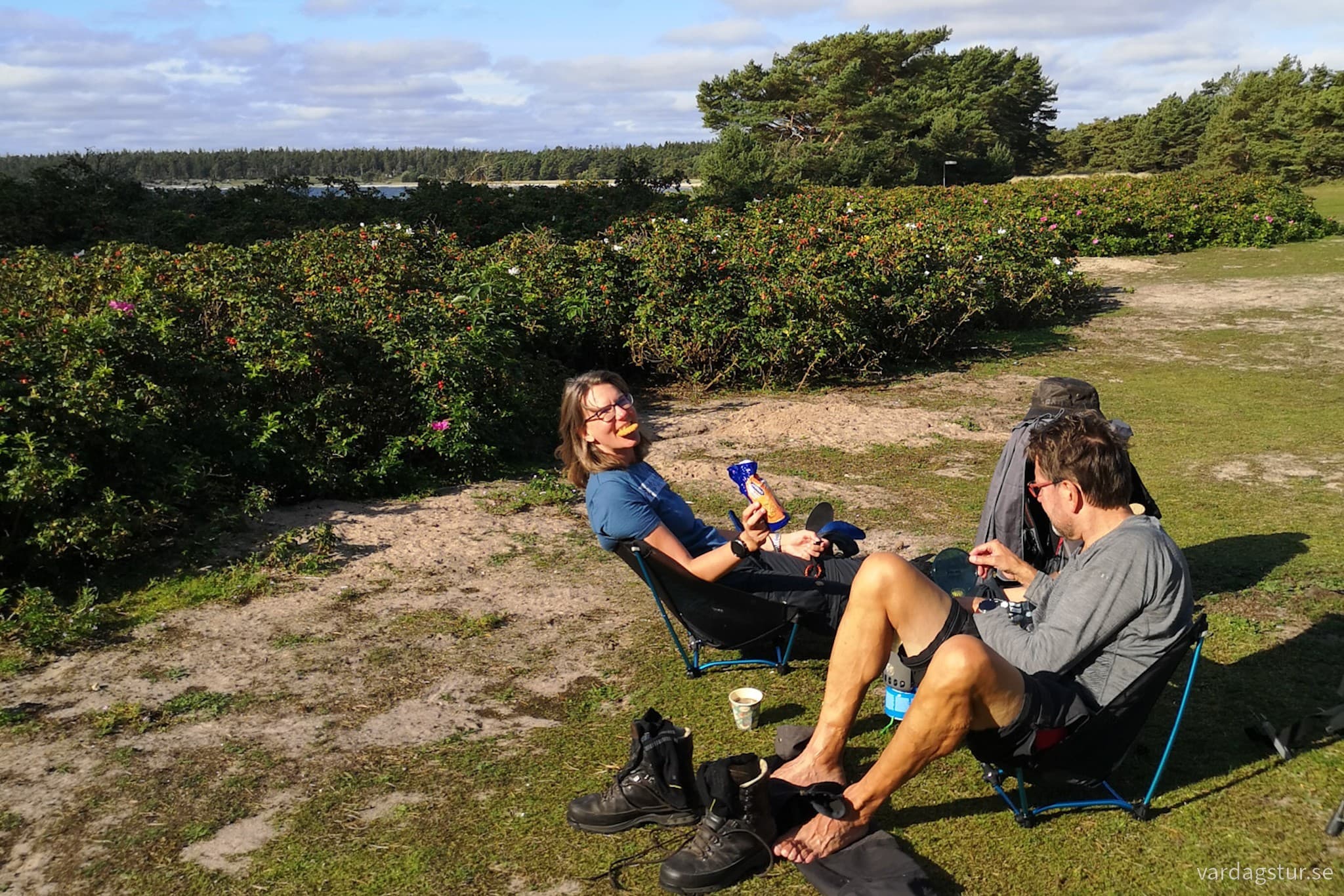 wp-17087728720478043310026359492772