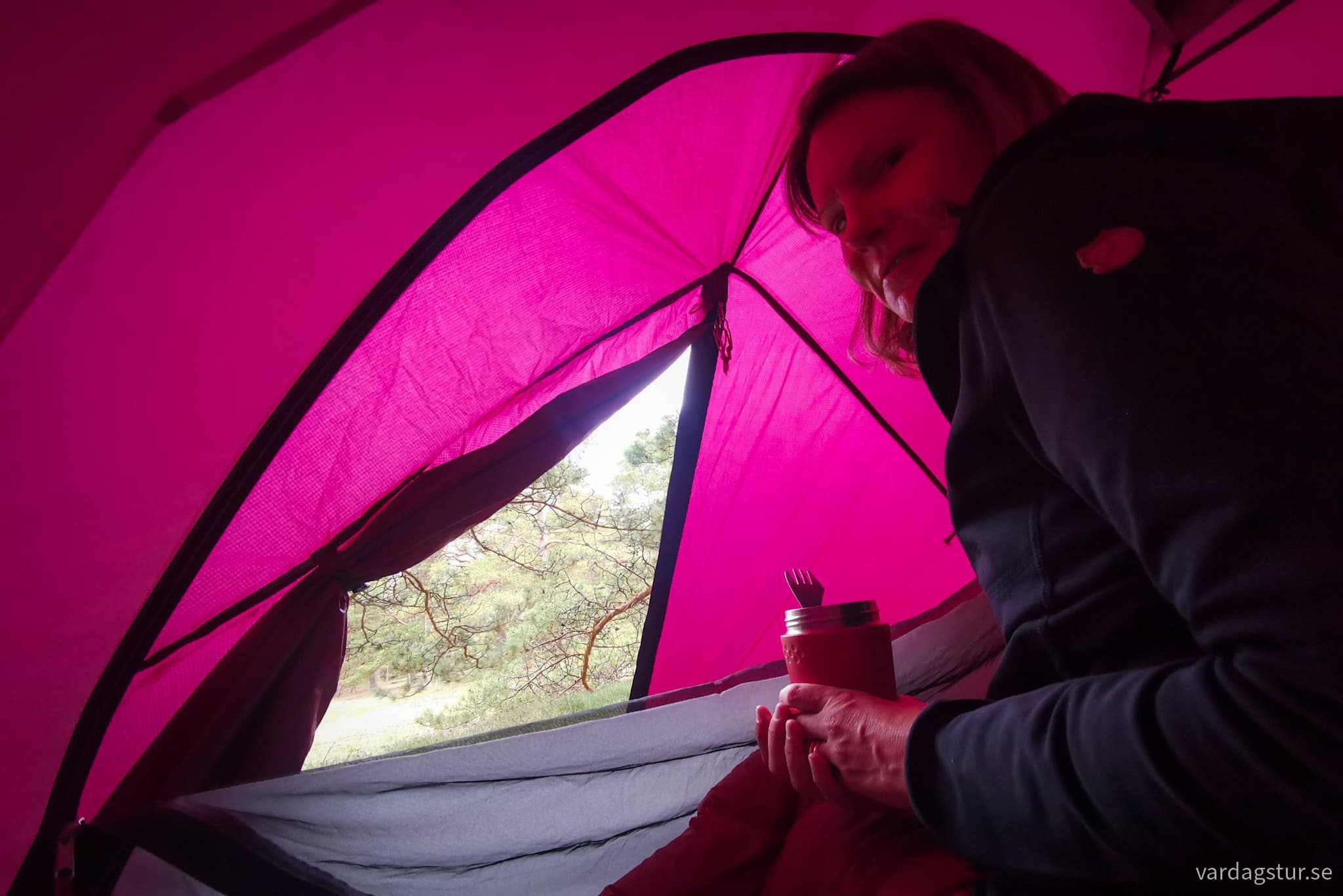 wp-17088432706094415204918341866905