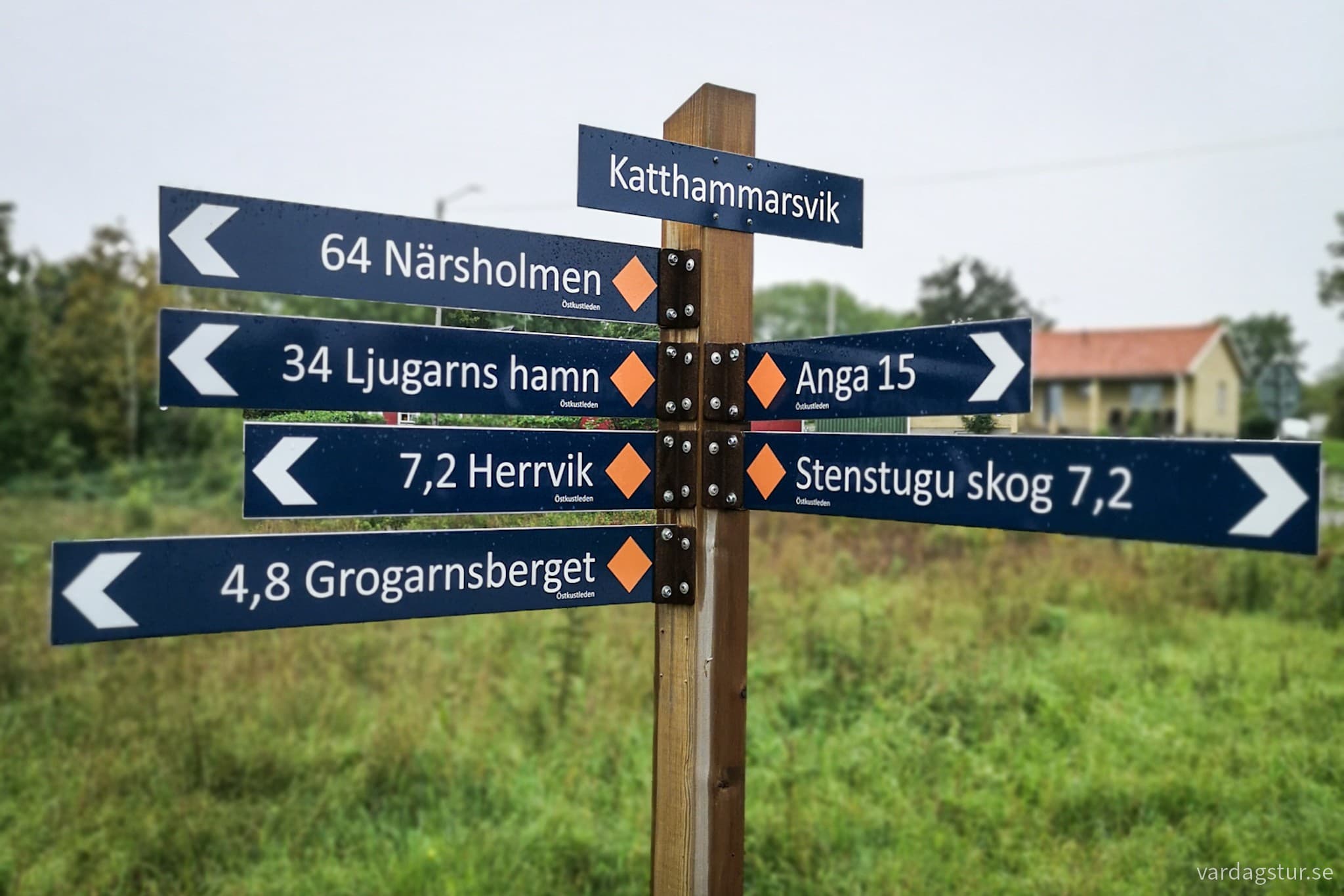 wp-17096622618862430107503975120957