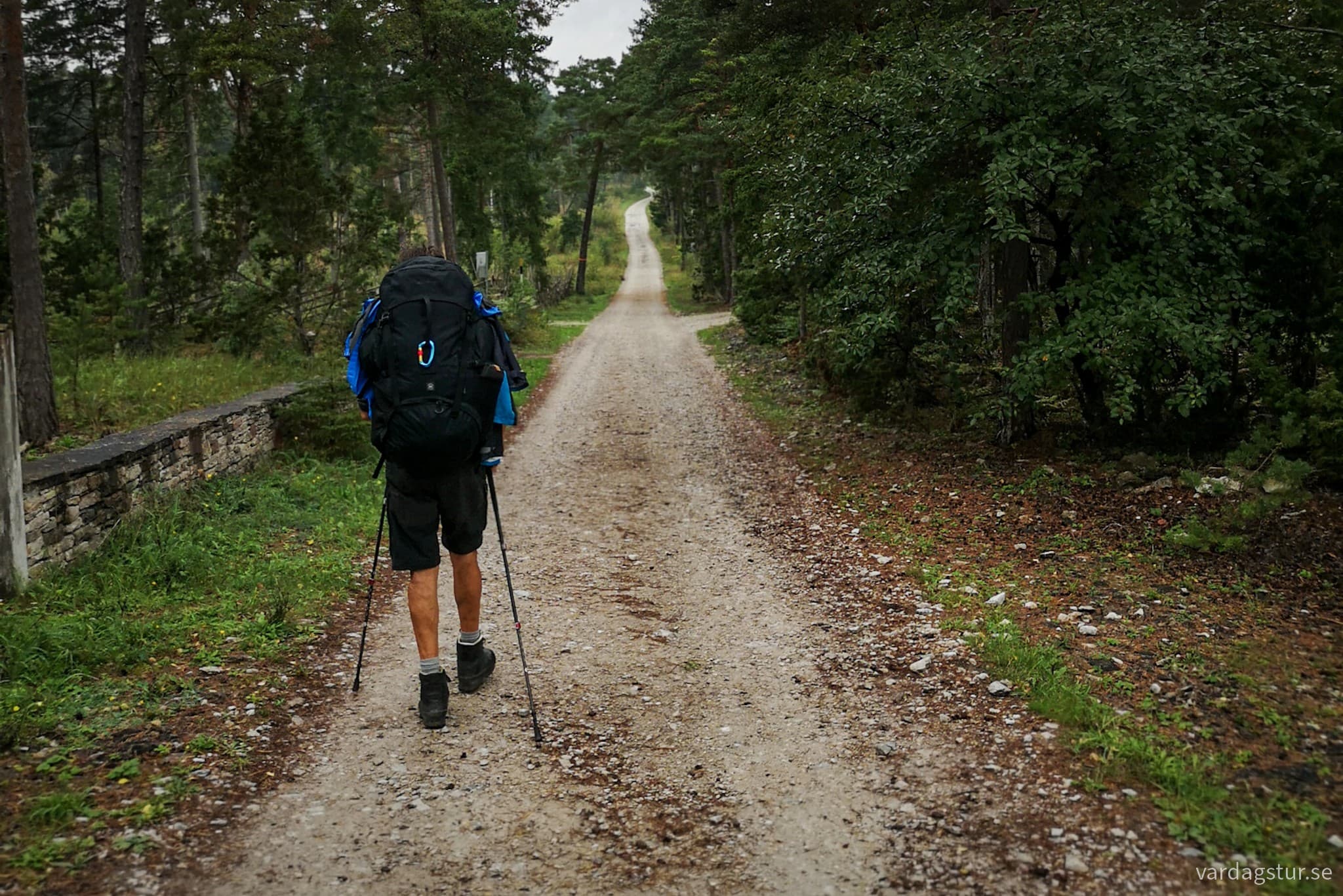 wp-17096622611942667979140134506716