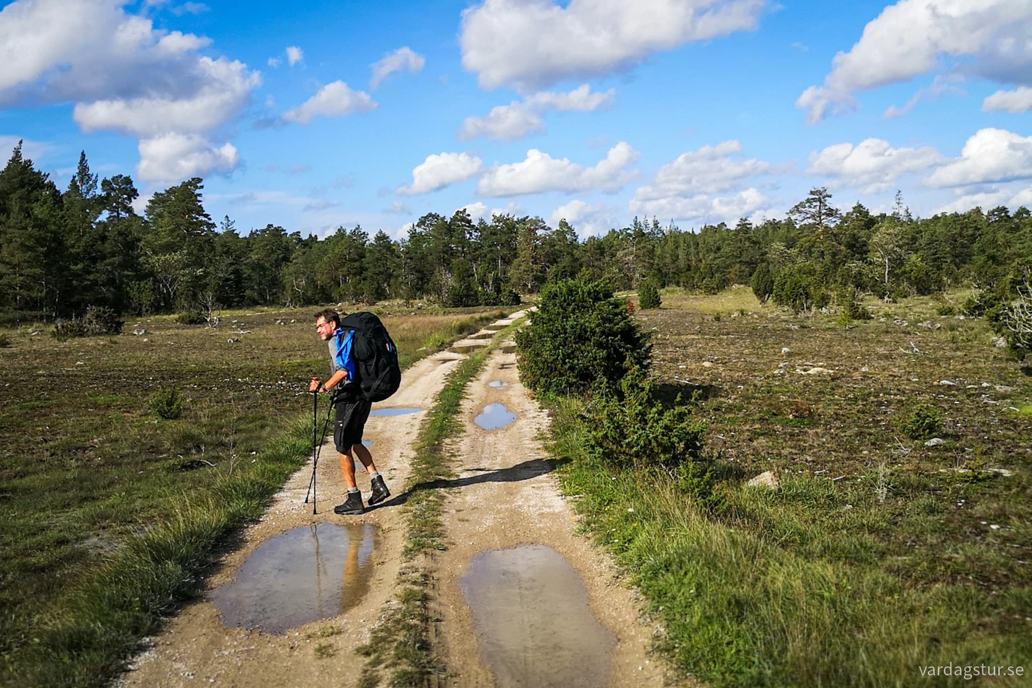 wp-17096622628542265030293864573731