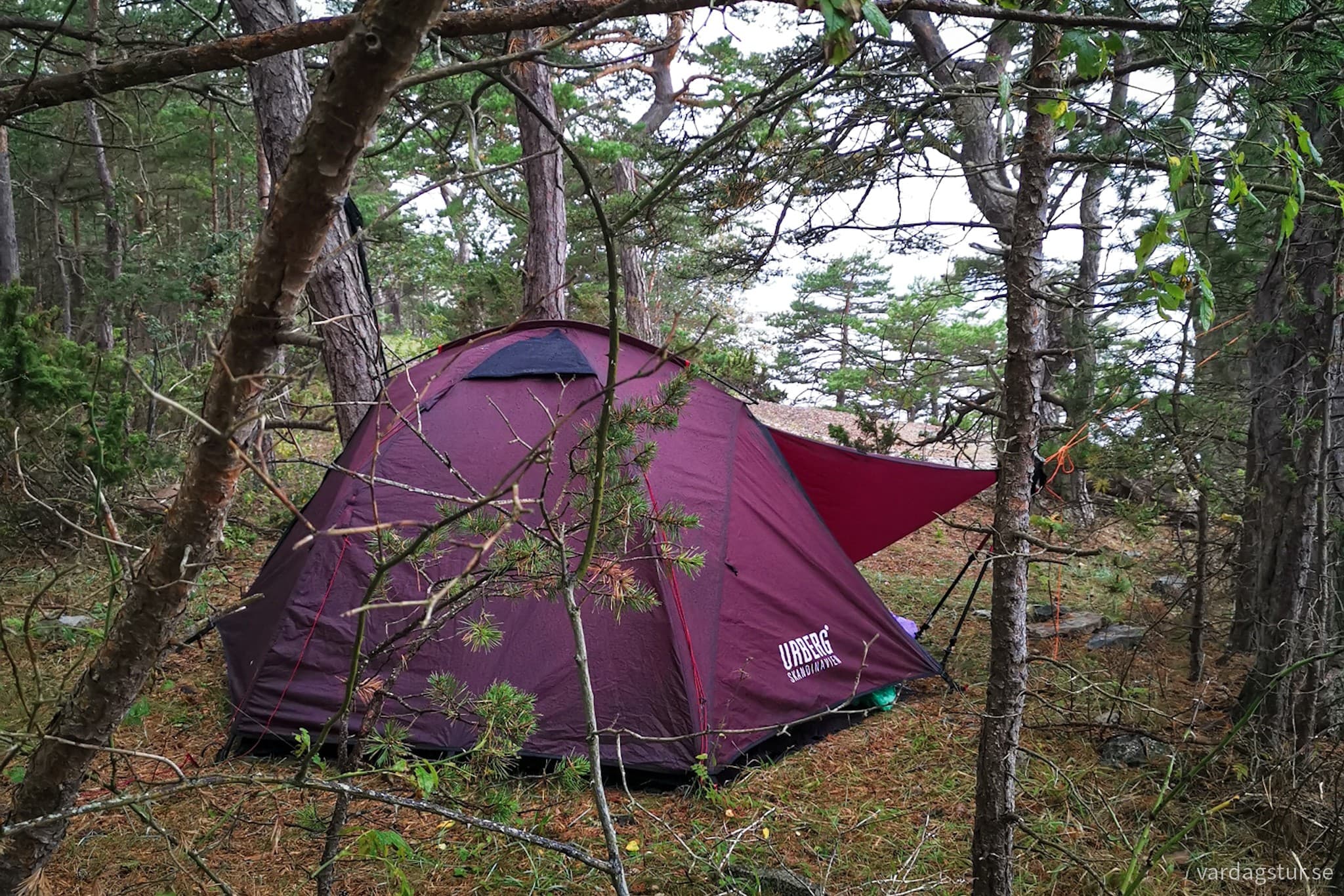 wp-17096622632915890297777887852797