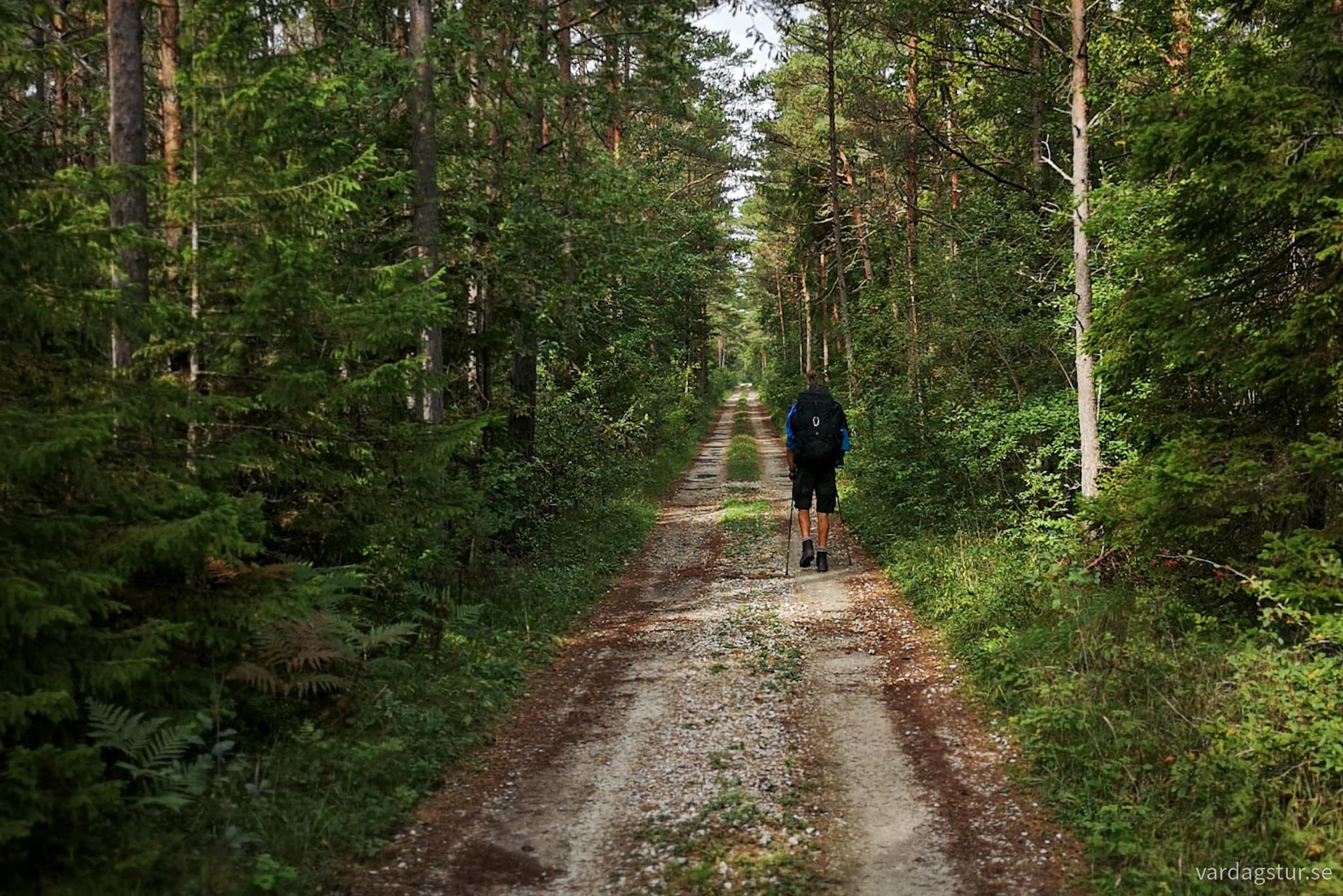 wp-17096622635643125487548865633834