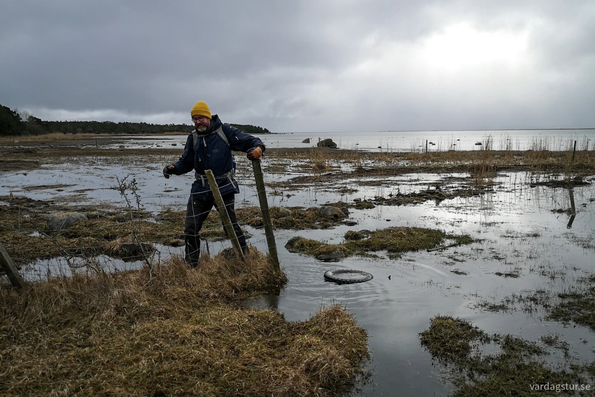 wp-17104385907605887483432415135054