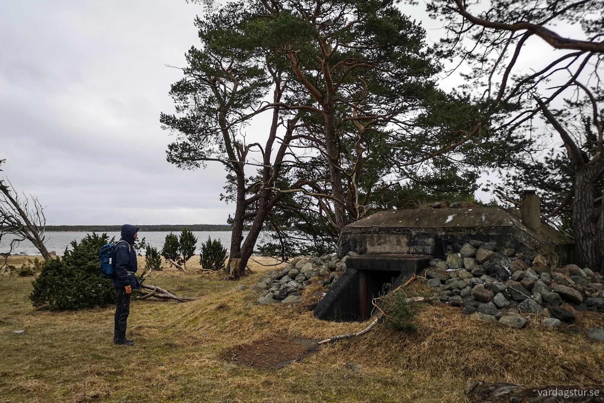 wp-17104385901533928041327296428691