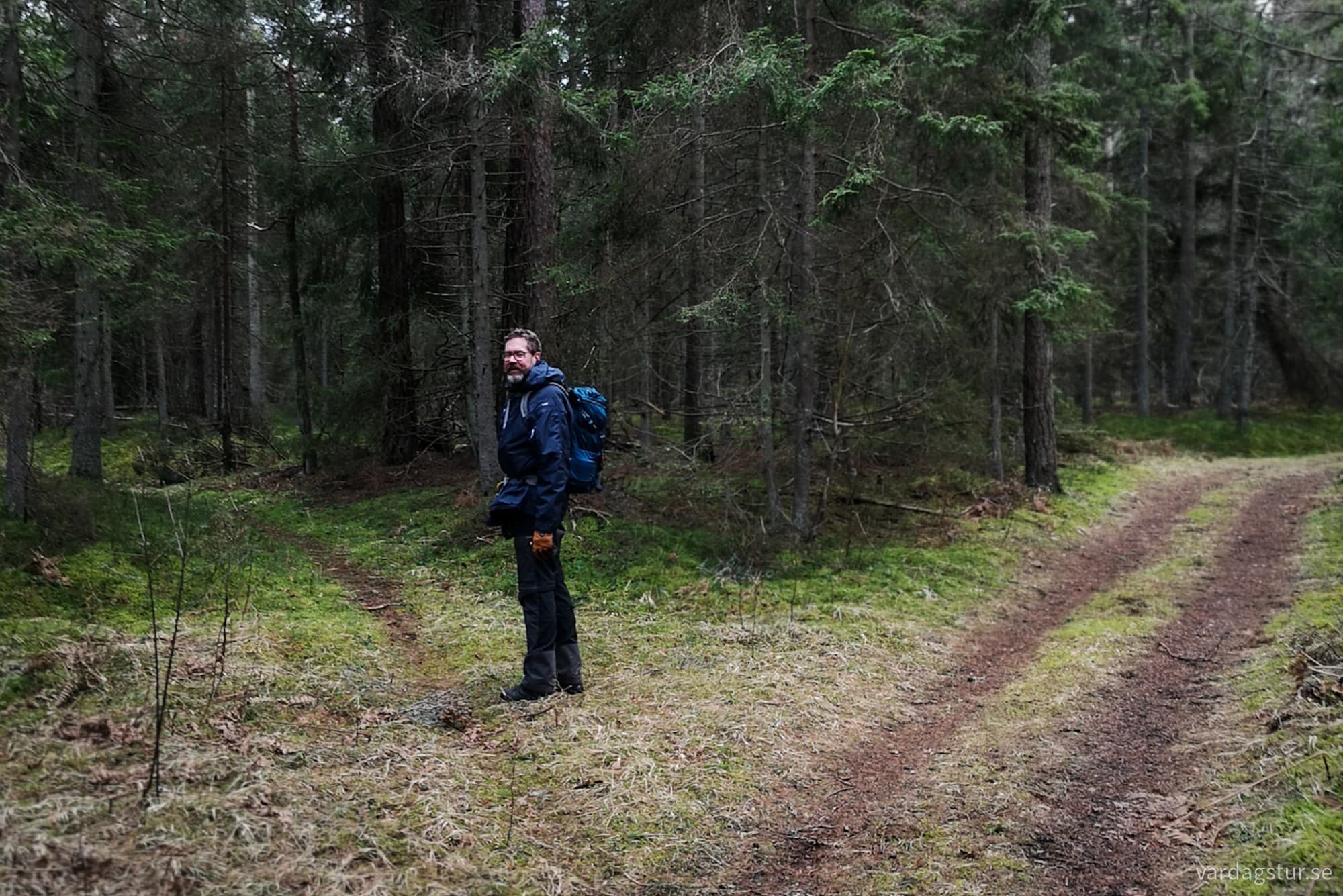 wp-17104385904783660706303020541577