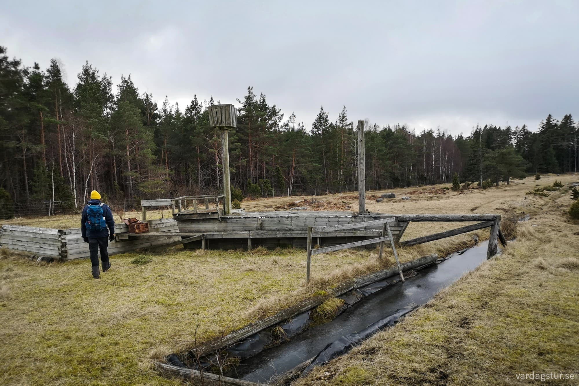 wp-17104385913358690663359840083344