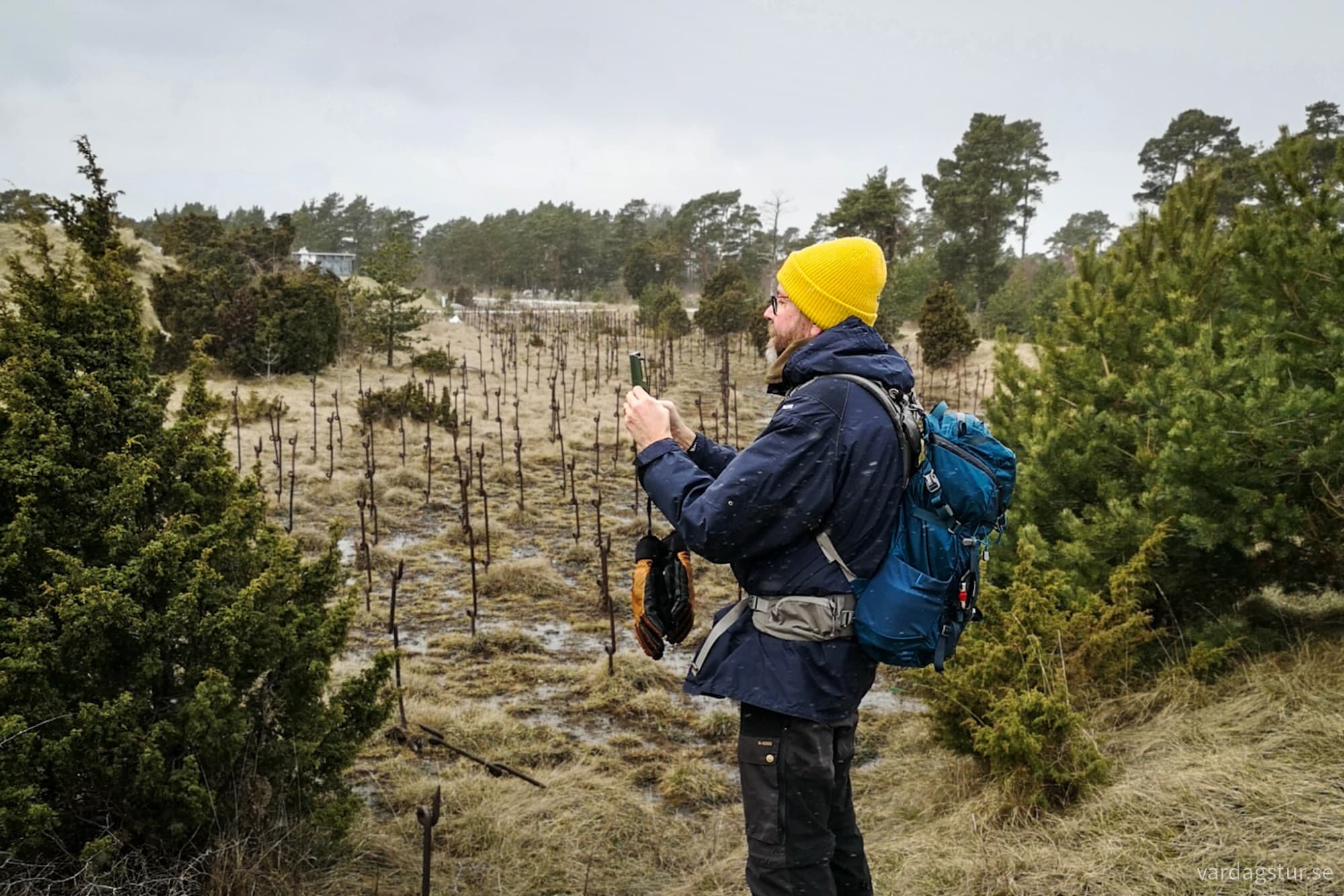 wp-17104388141111334021204517769967