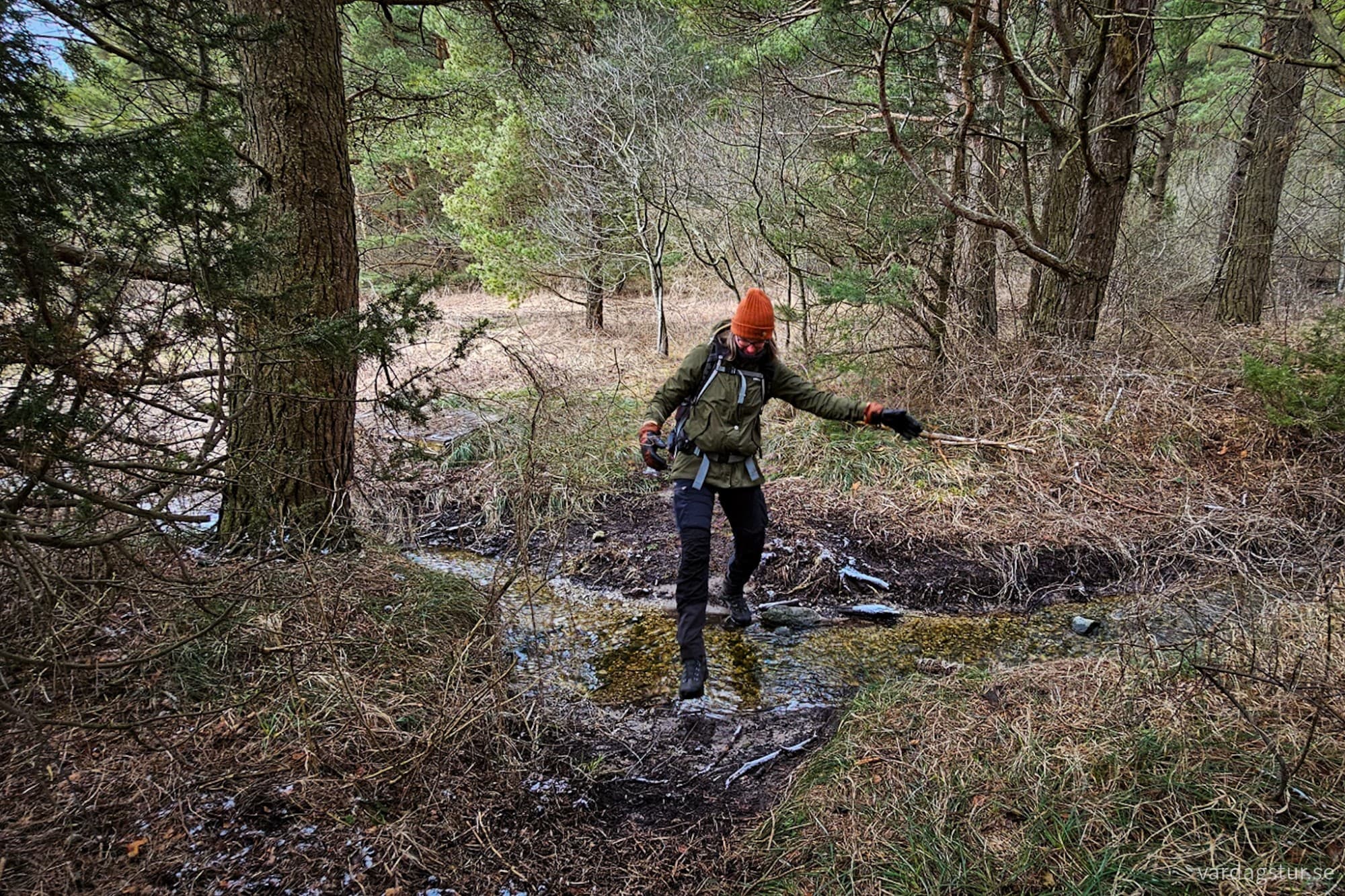 wp-17104388142978629697828340080360