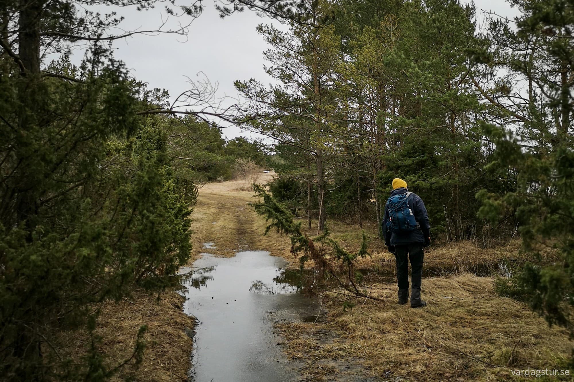 wp-17105275378901268667239853102946