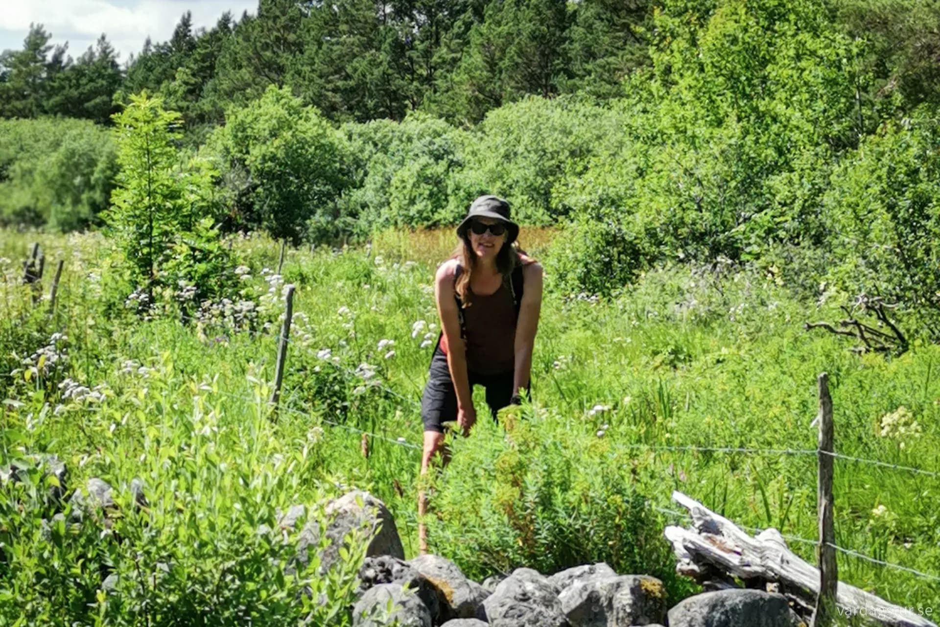 wp-17109630090823509514662348629253