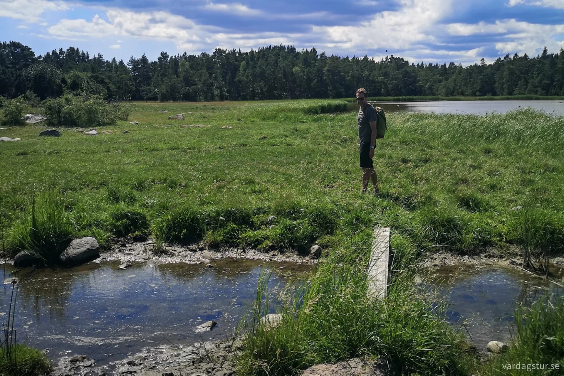 wp-17109630088186651207046665721709