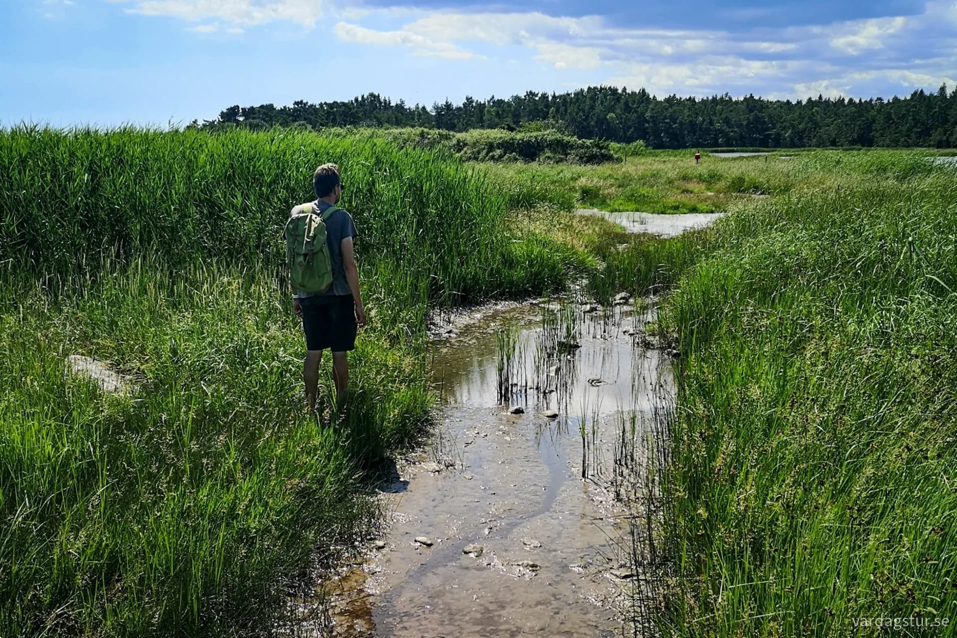 wp-17109630096608963063415150884315