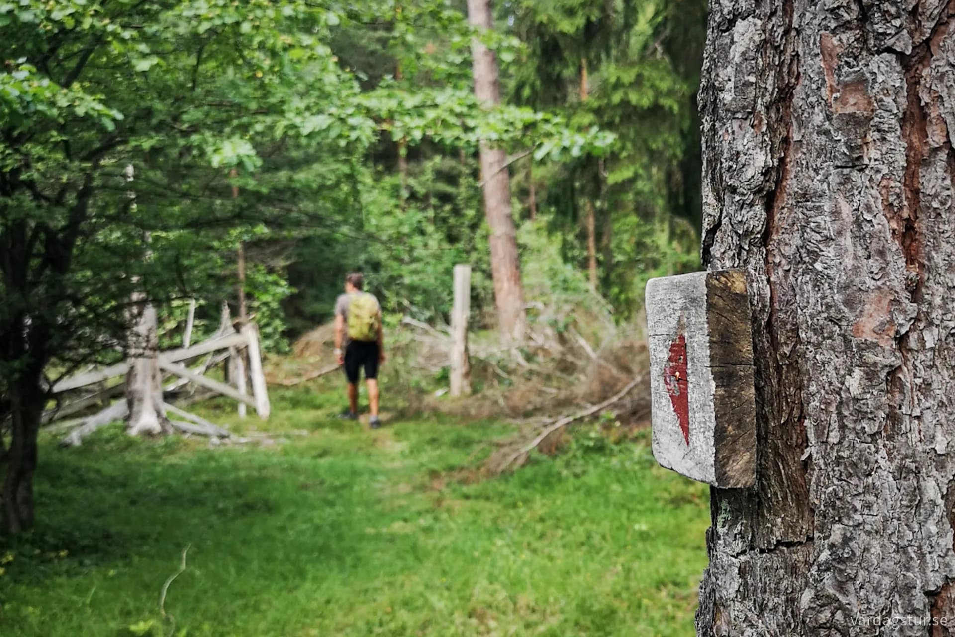 wp-17109630105123926288738184413094