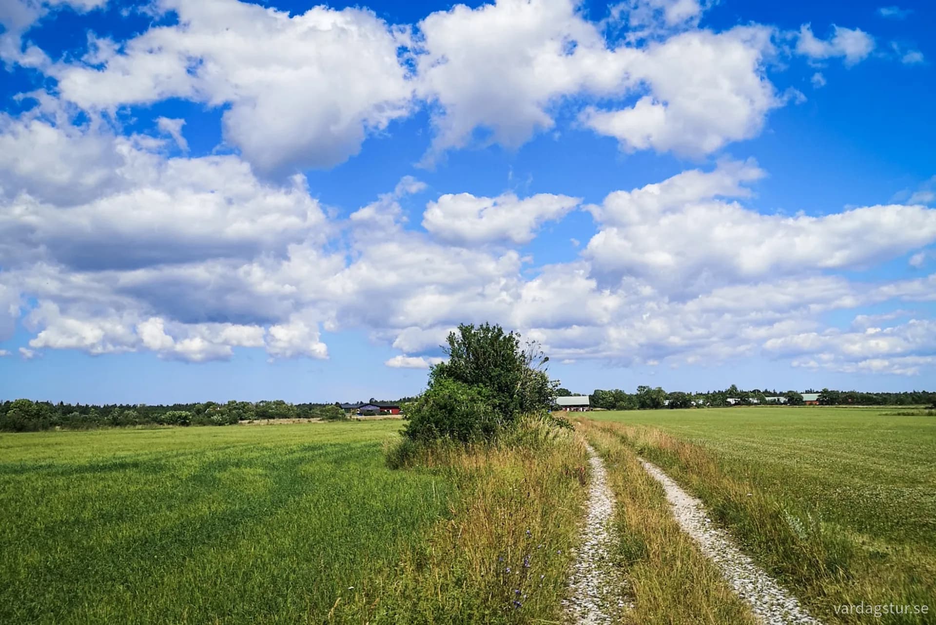 wp-17109630107711839850605150613847