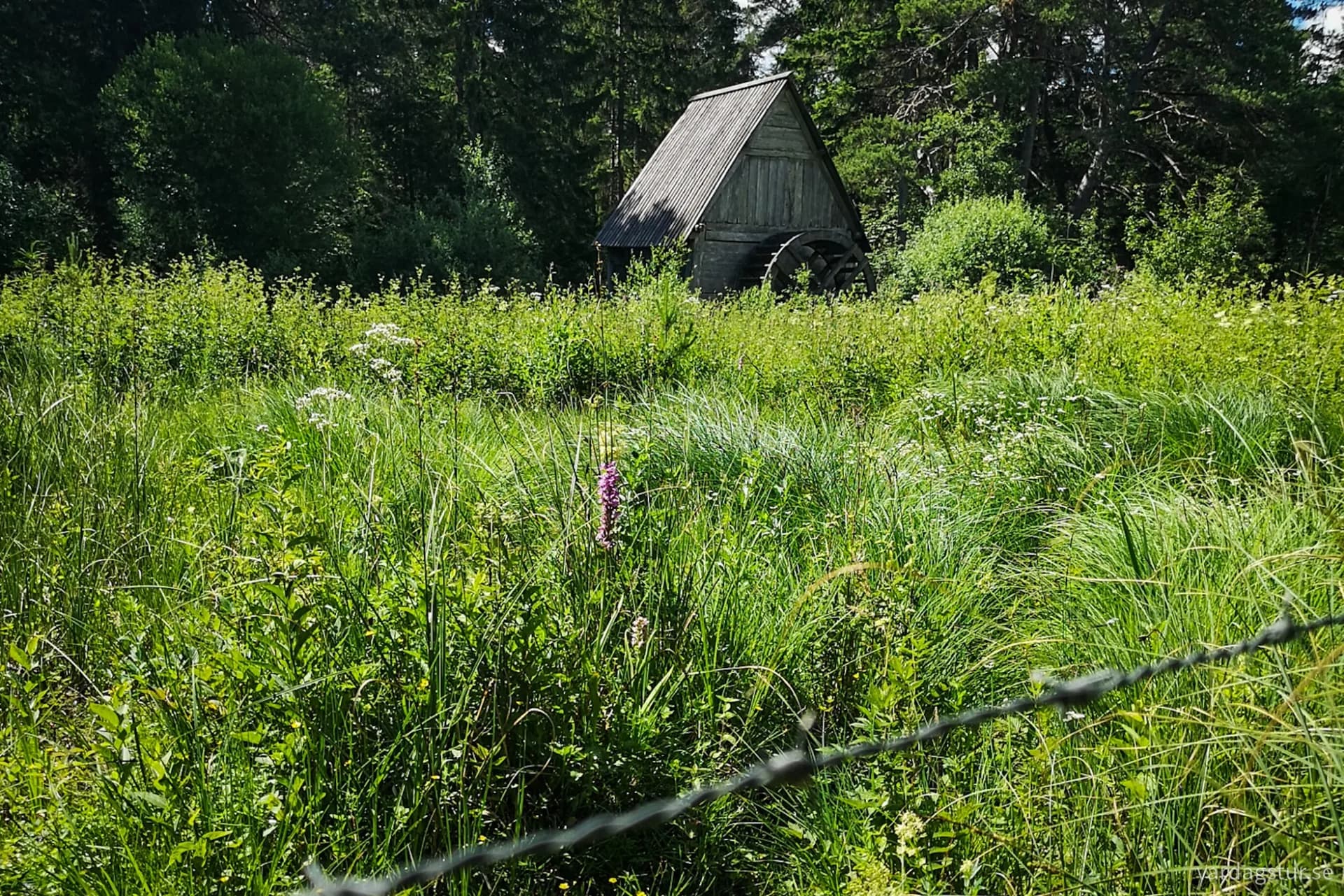 wp-17109630114937210300846073565609