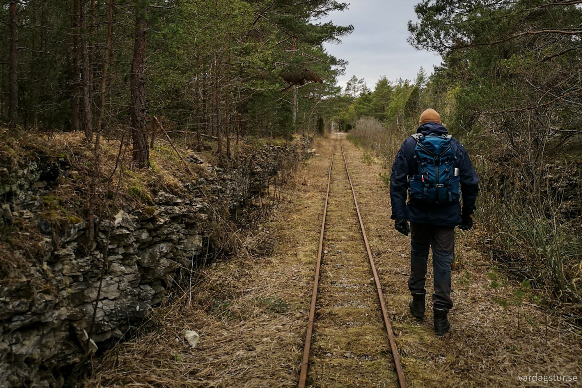 wp-17115765655973463481504251578663