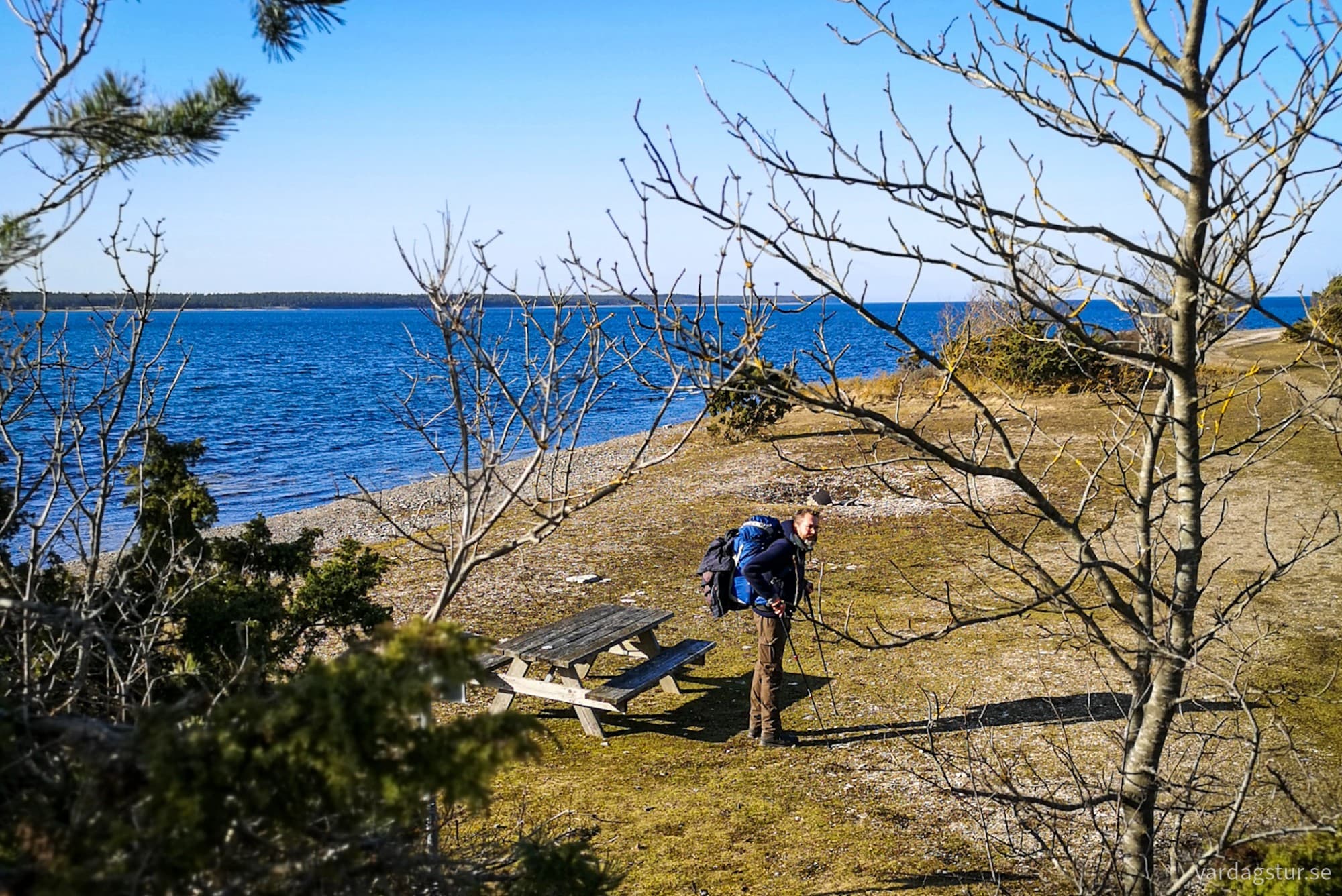 wp-17116471550851099825217873655932