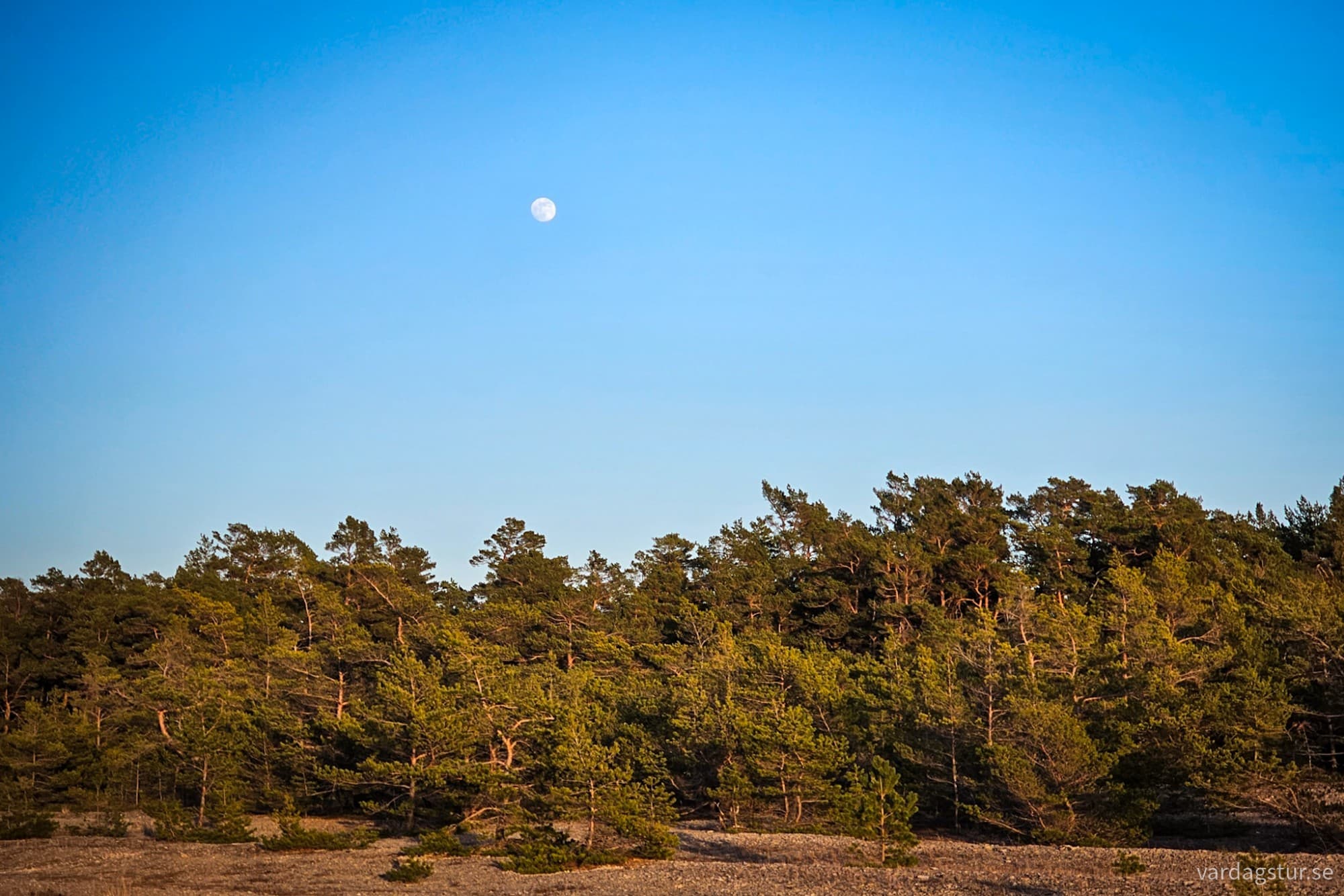 wp-17116471561873174963044217783320