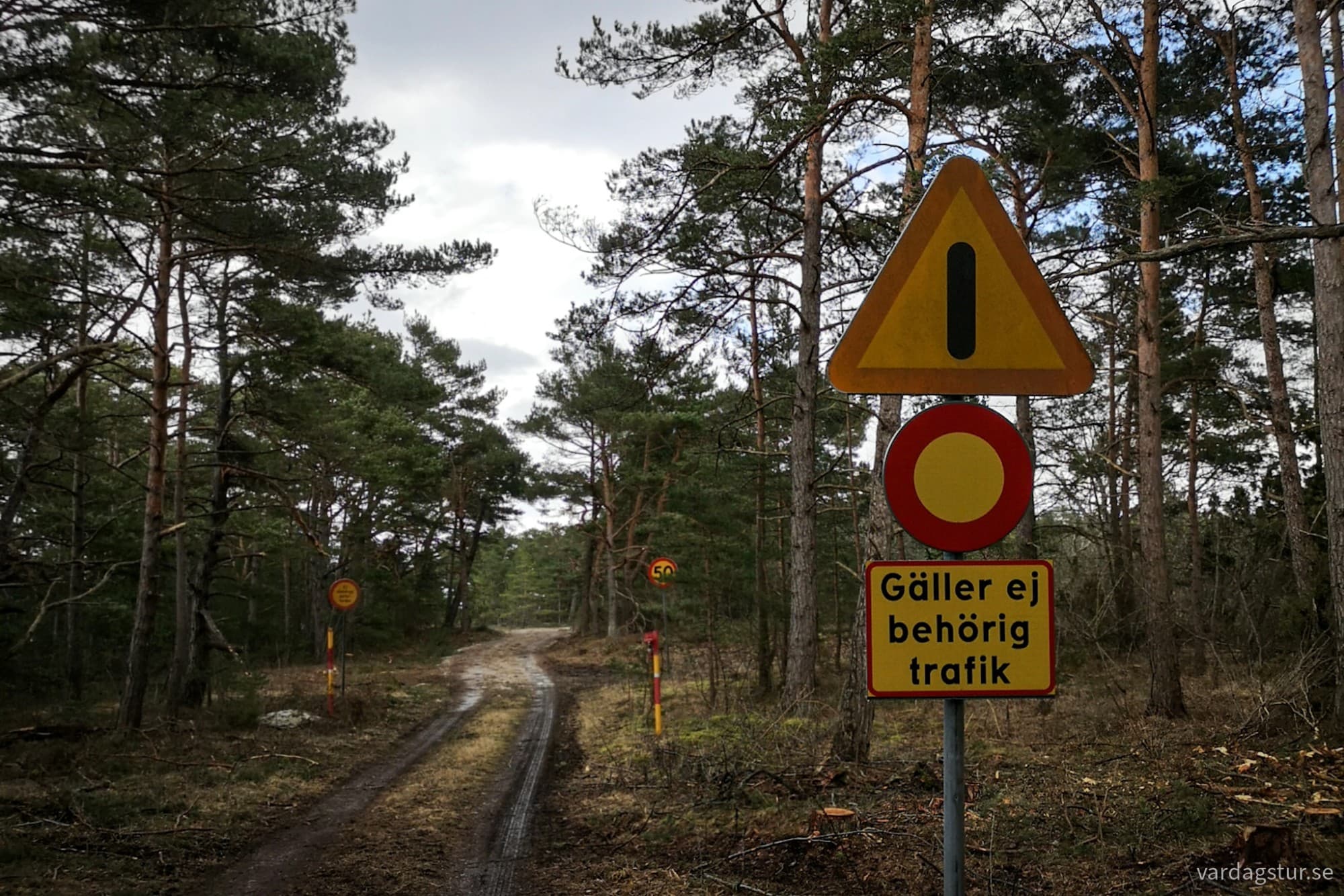 wp-17116547106434142789100672393659