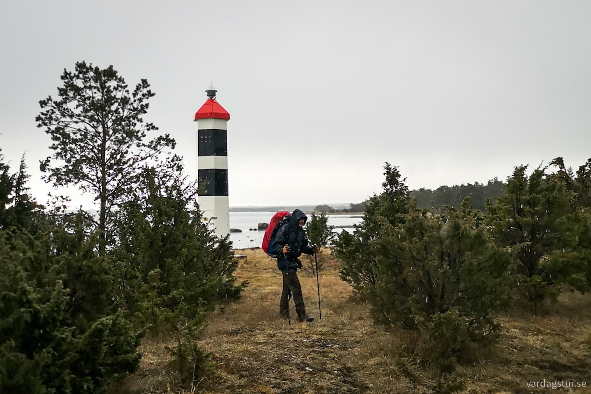 wp-17116547102994938020467884196023