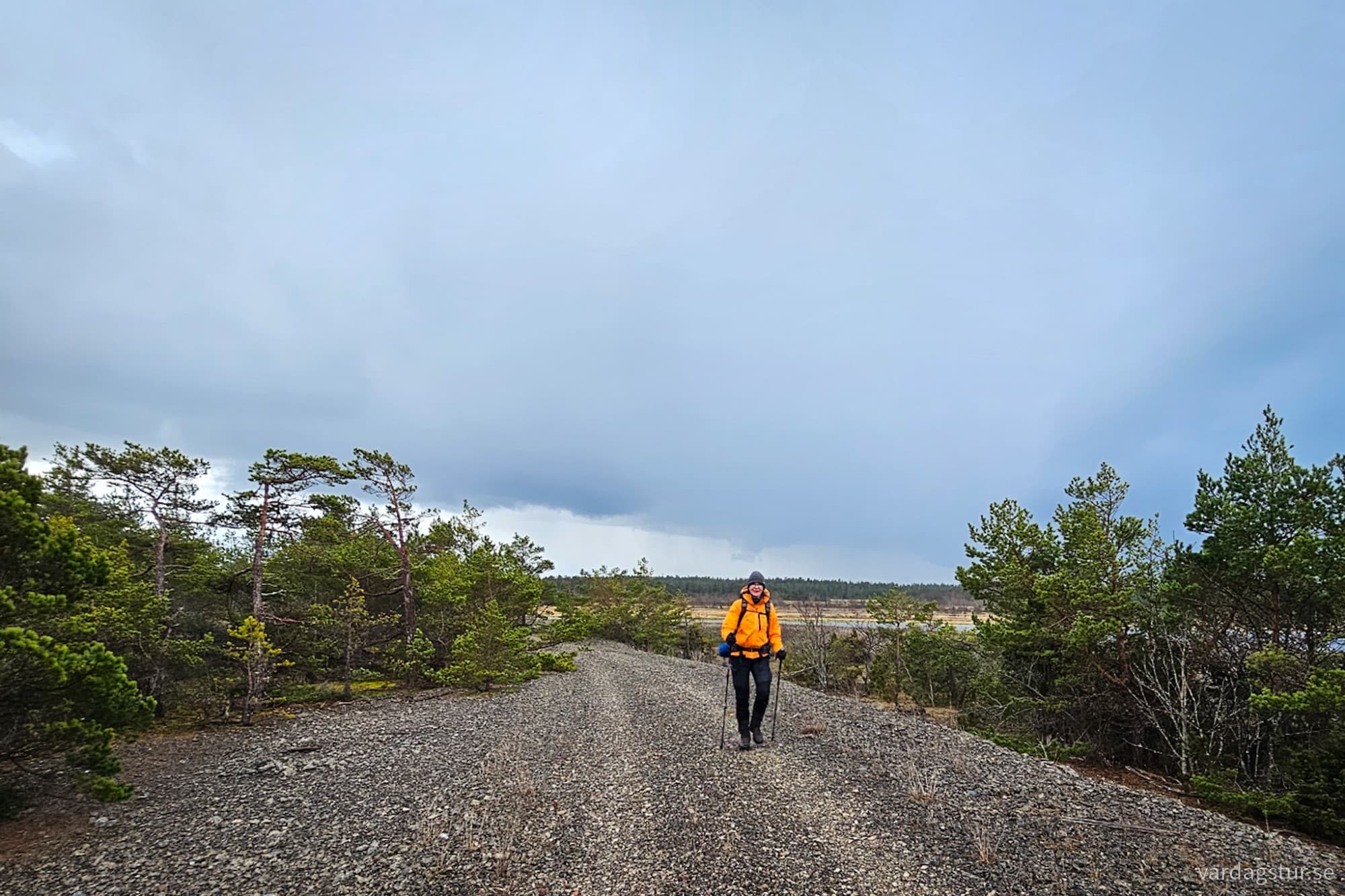 wp-17116547108675415421997647652366