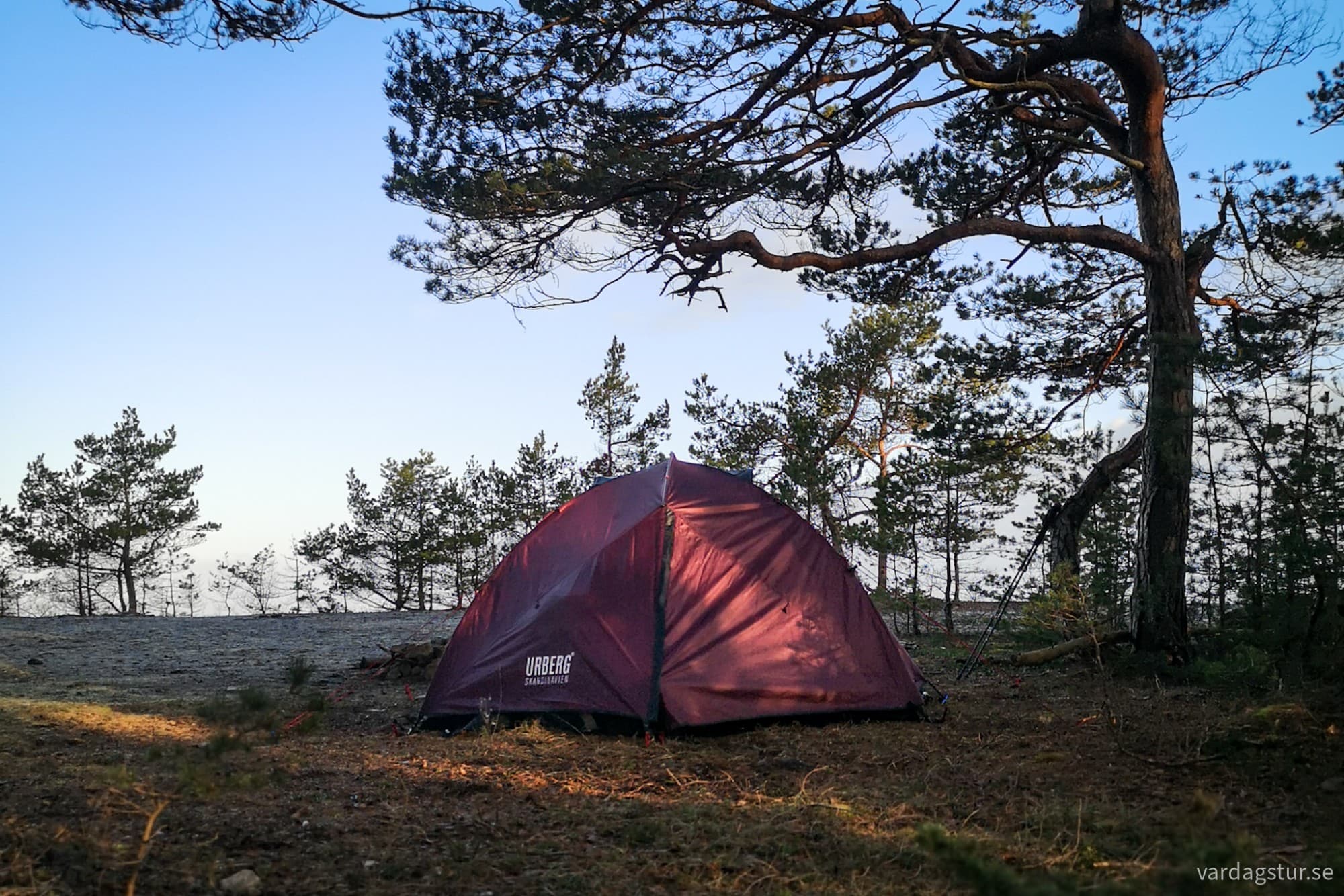 wp-17116547116376503126277679013928