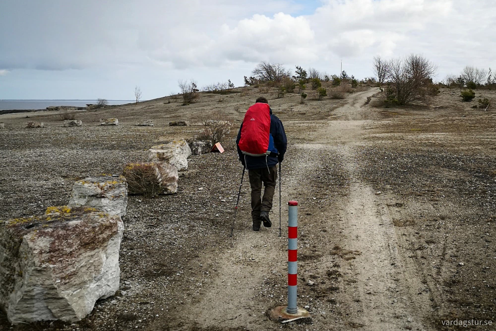 wp-17116547119939007743085896602135