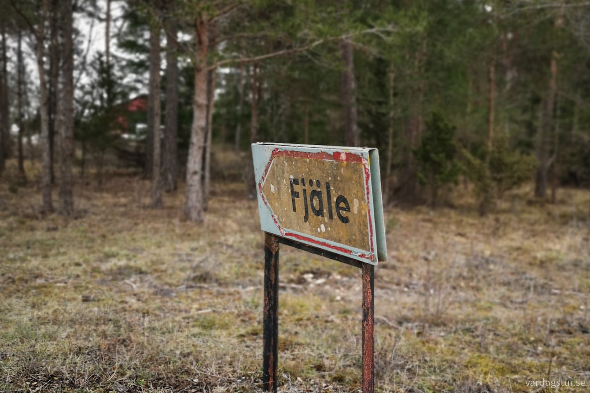 wp-17119754193352397658258721661595