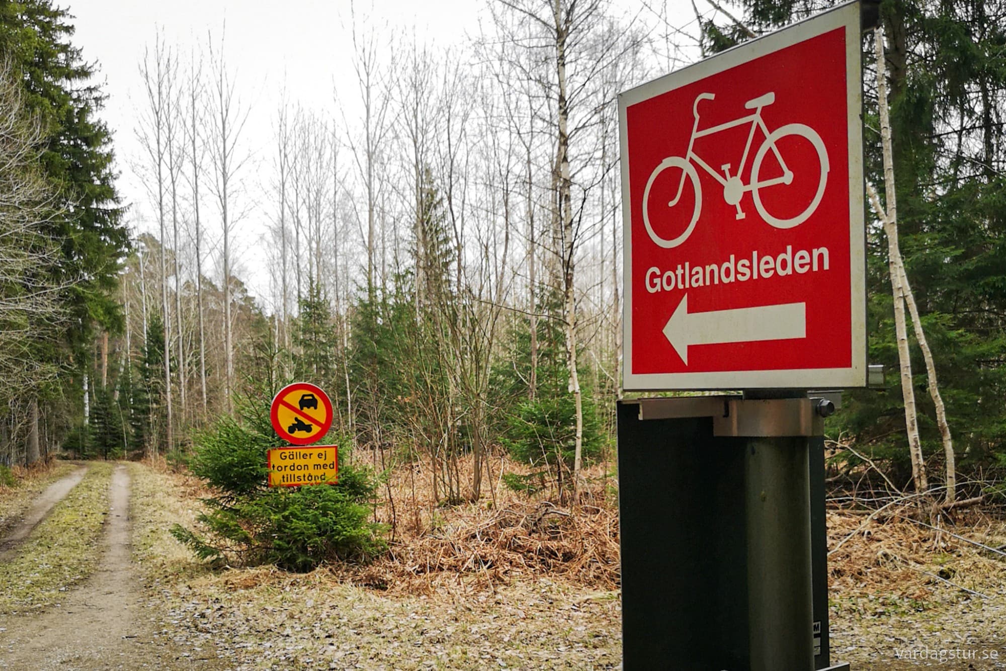 wp-17119754185668009597699490882818