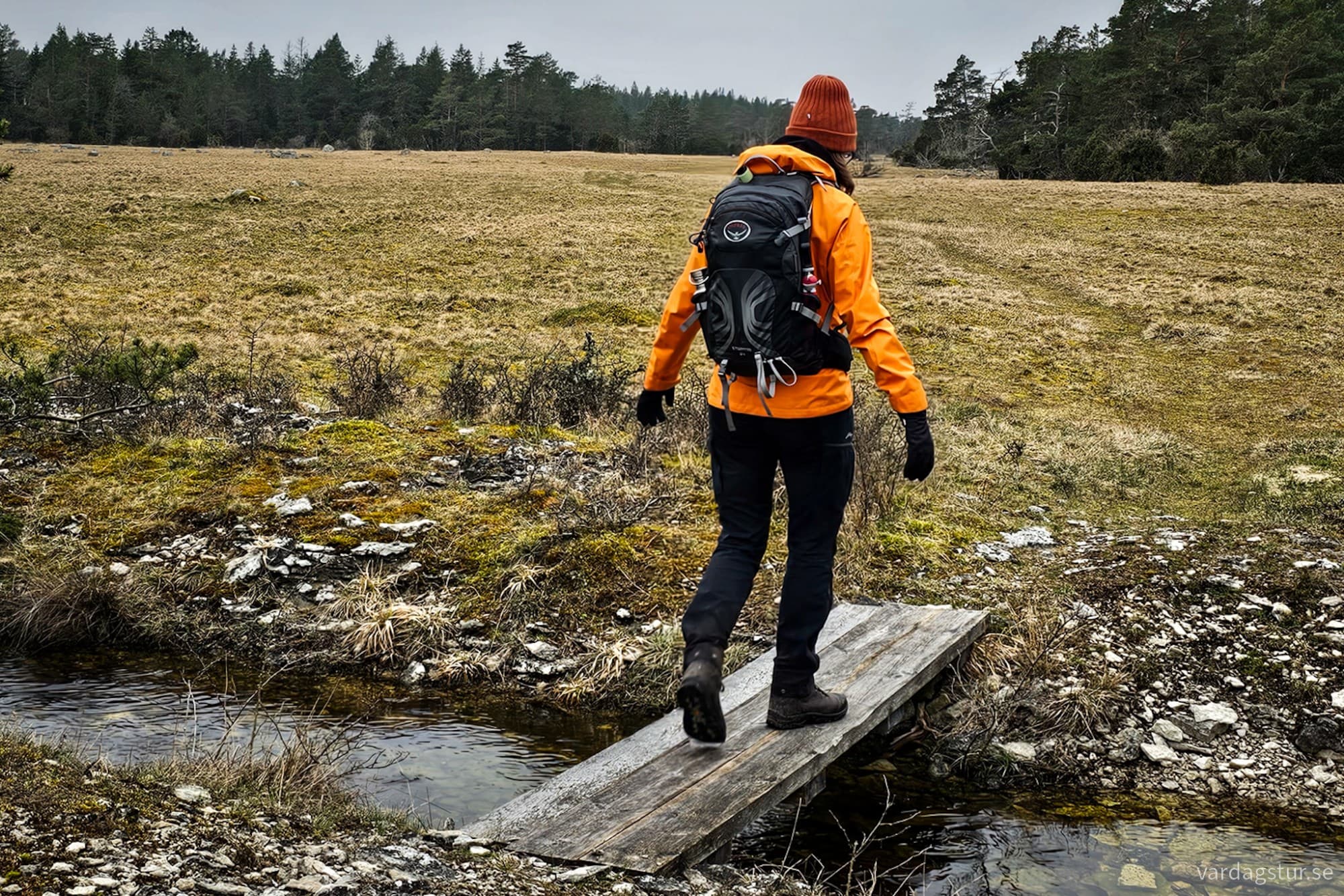 wp-17119754183143929704224566525701