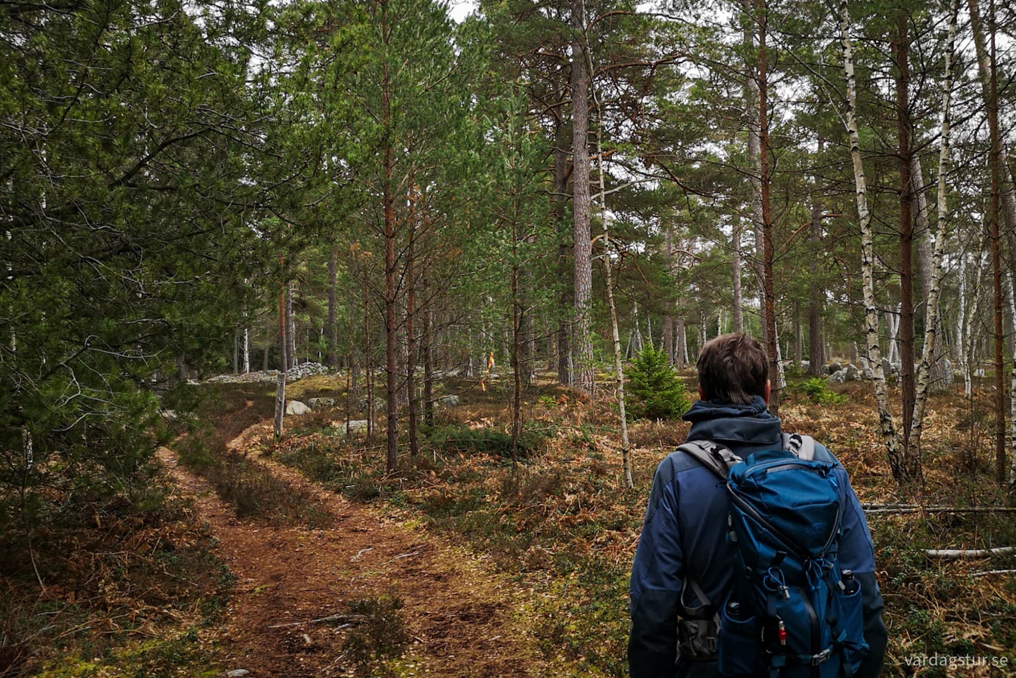 wp-1711975418815651309689847707581