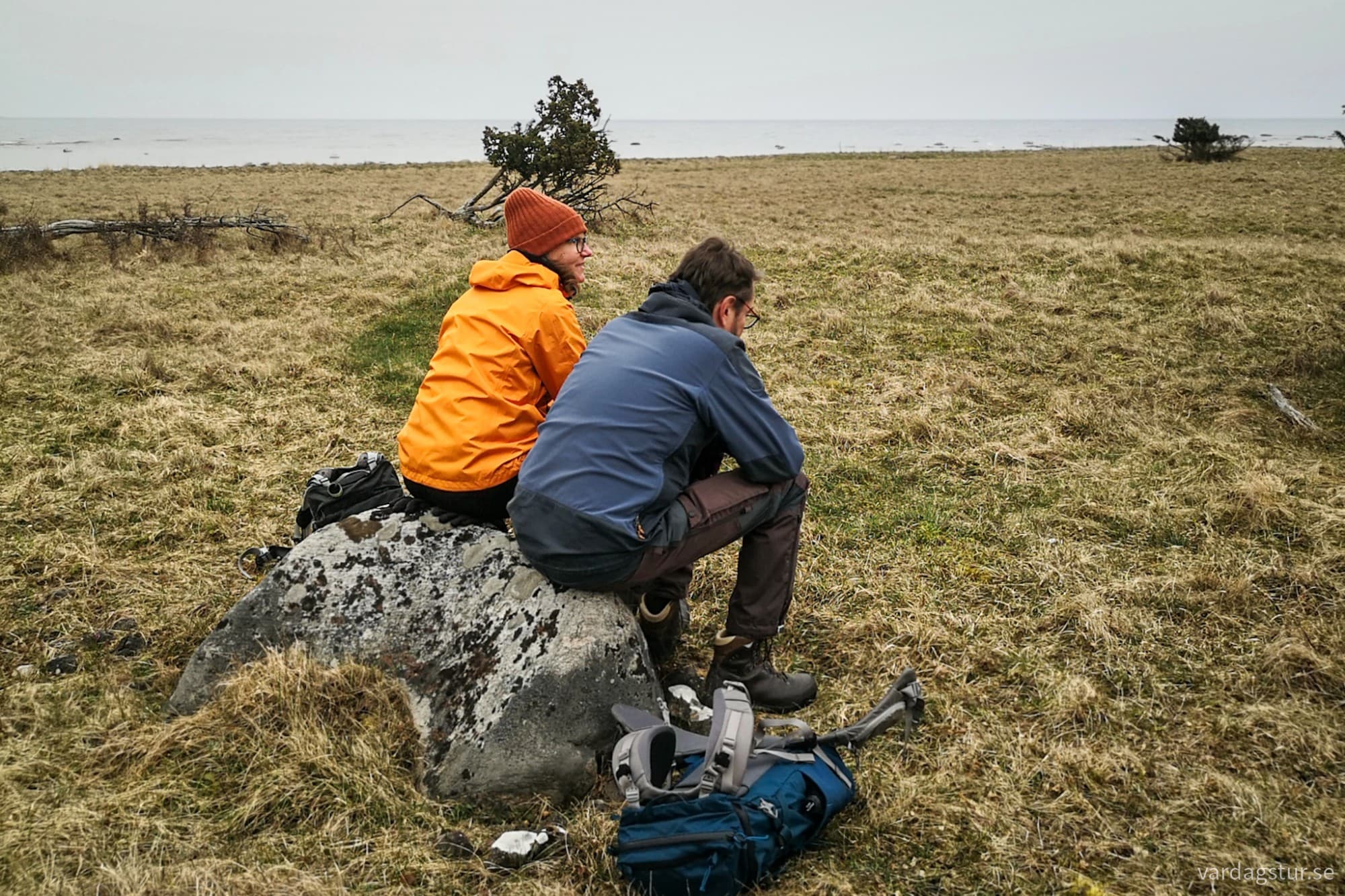 wp-17119754200384439740463897754865