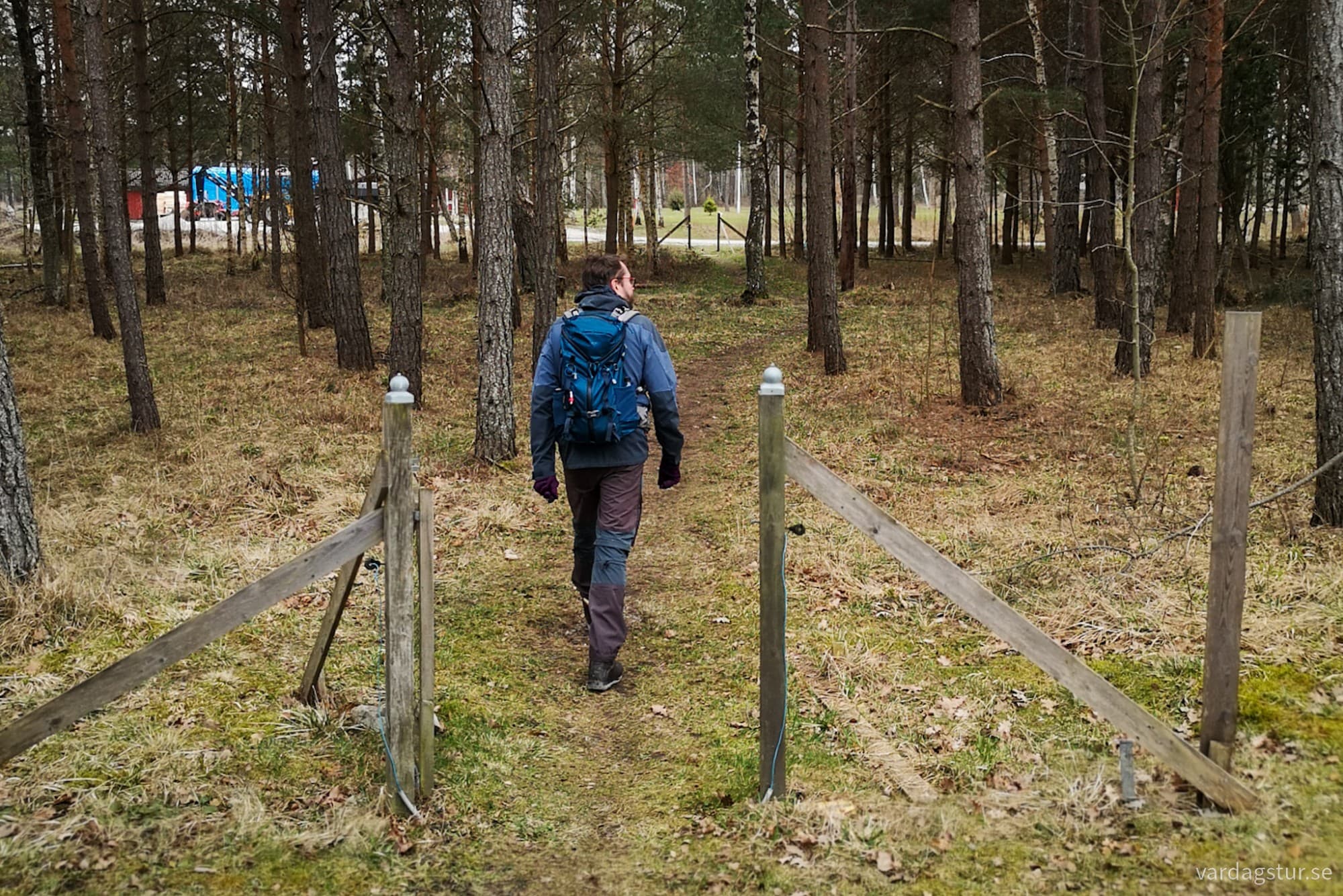 wp-17119754203231232127043367791962