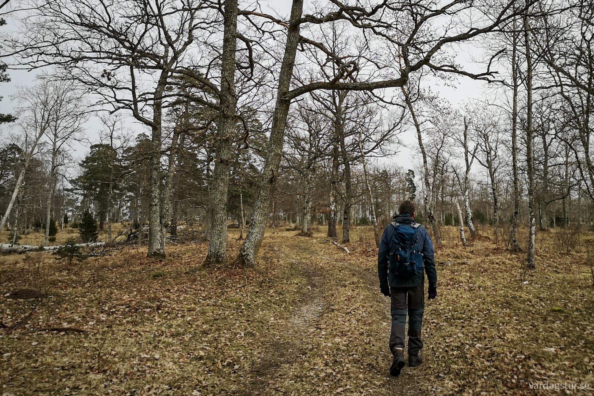 wp-17119754197484030047409661969476