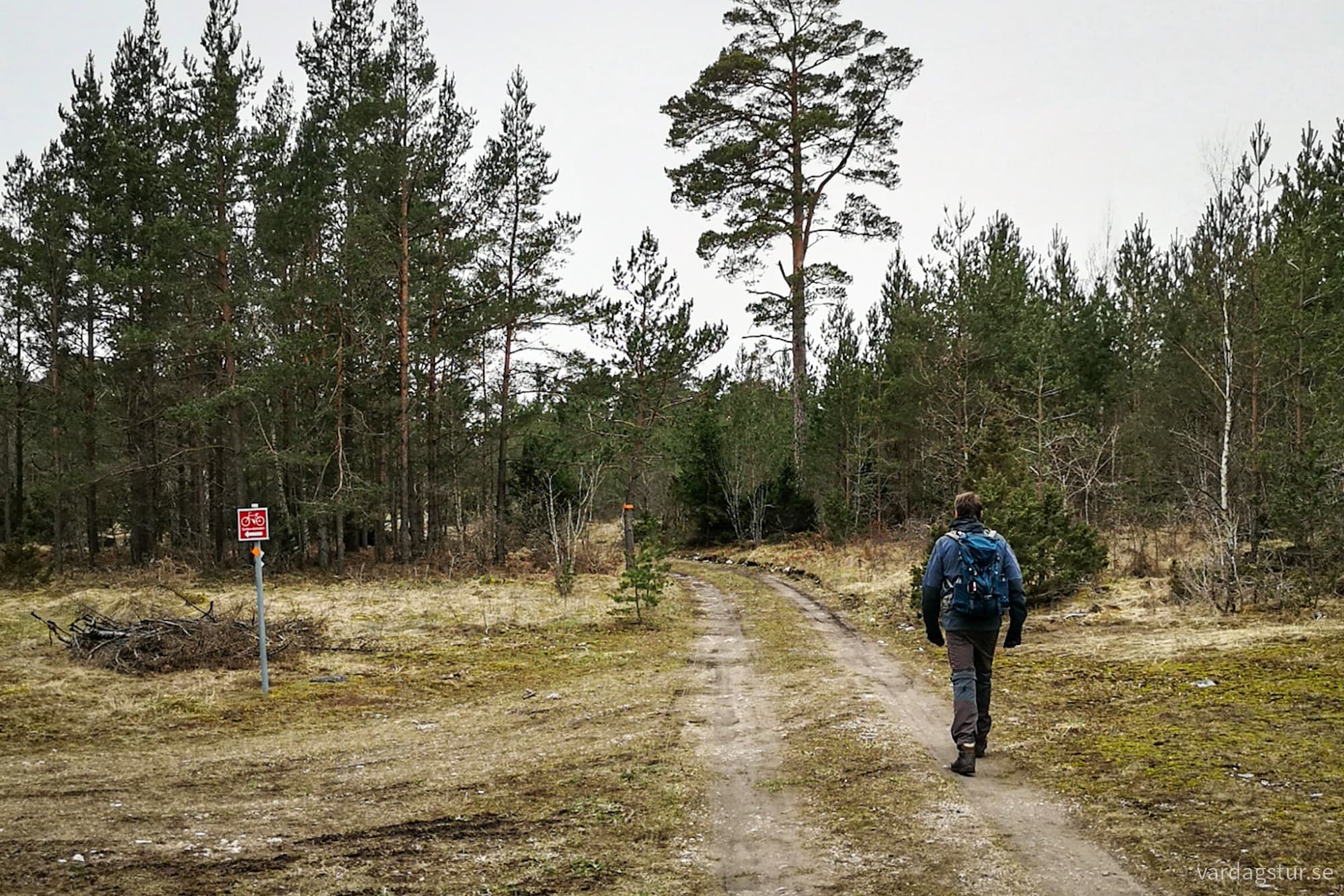 wp-17119754205933762027810484696060