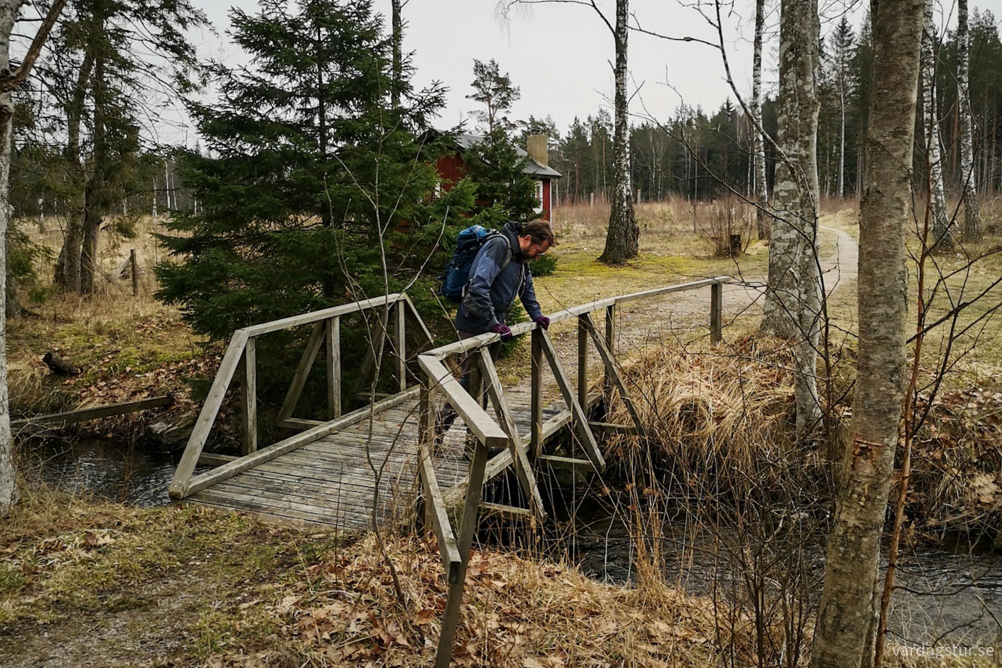 wp-17119754208577566840911771632308