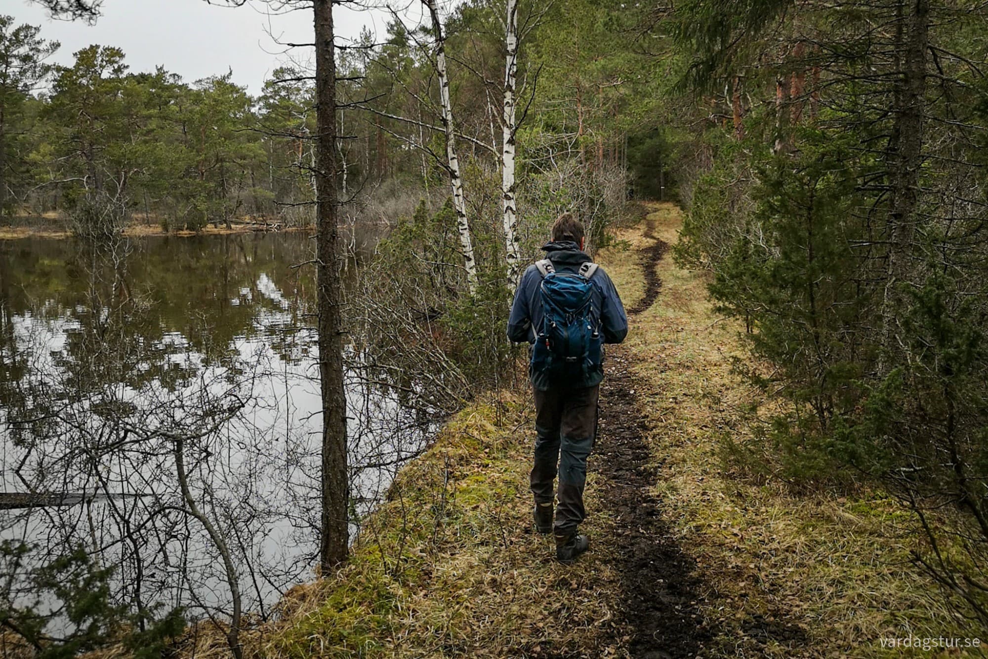 wp-17119754218636736750479455172590