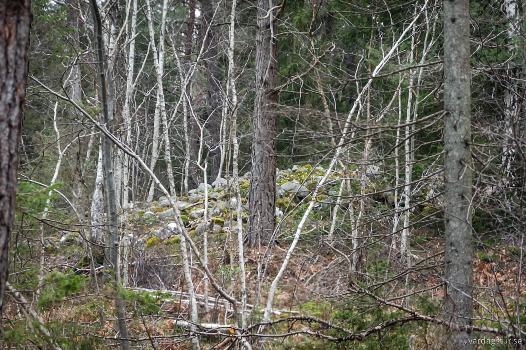 wp-17119758783257599205722567182448