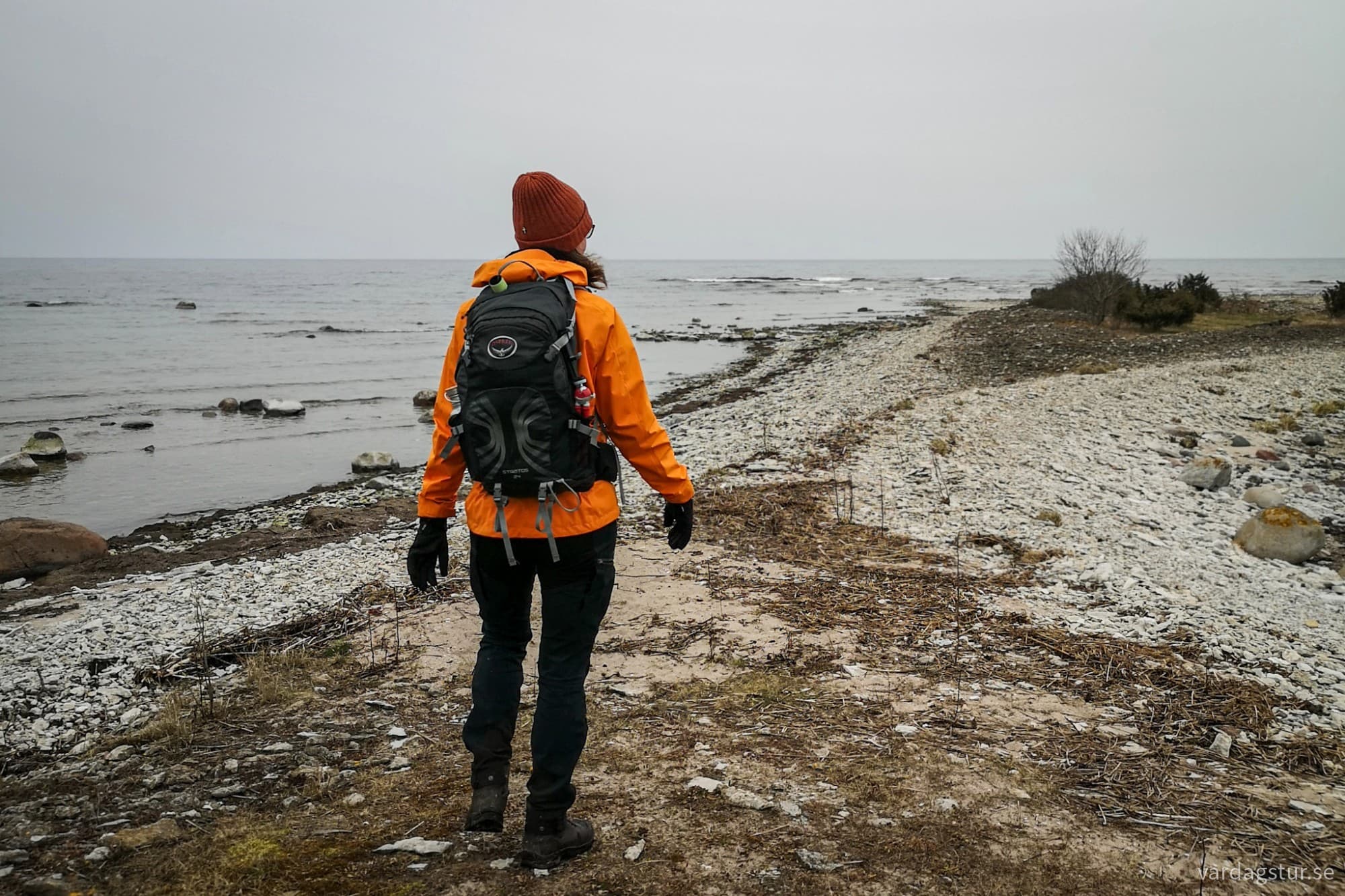 wp-17119812587975766712637135770593